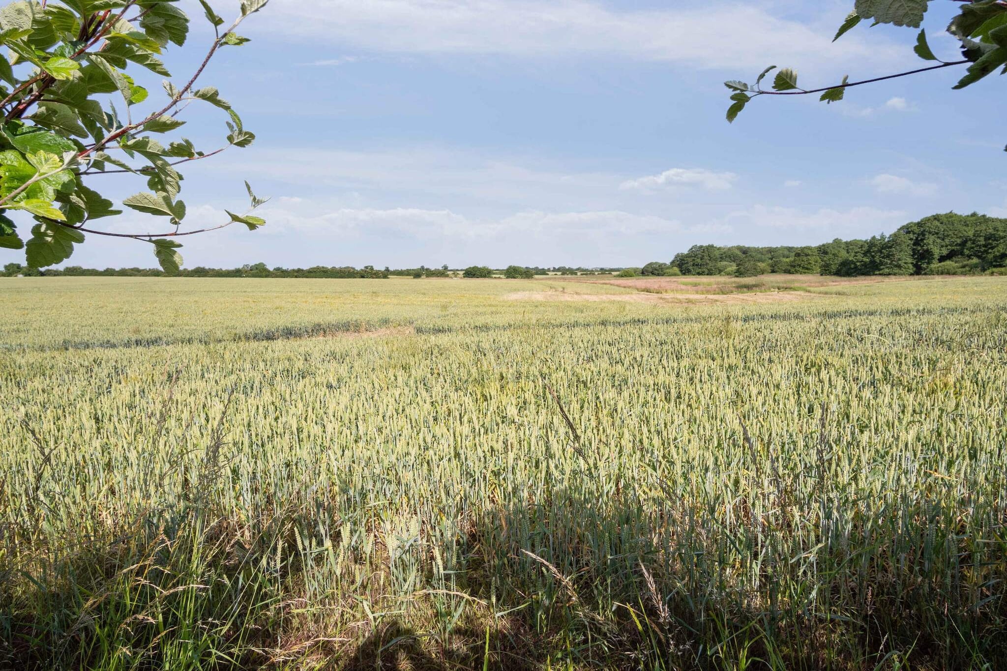 5 etoiles maison de vacances a Haderslev-Vue