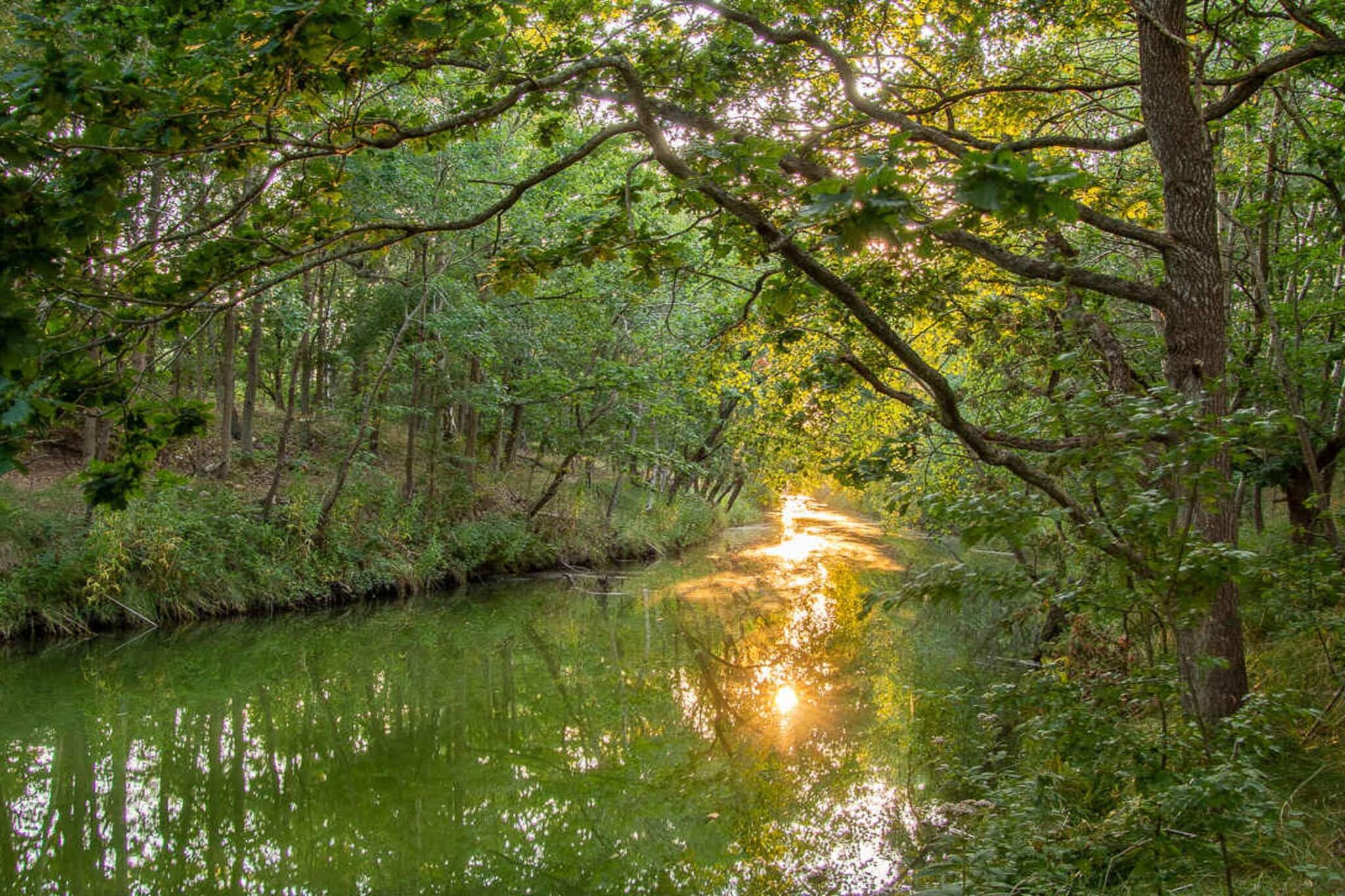 5 Sterne Ferienhaus in Store Fuglede-Wasserblick