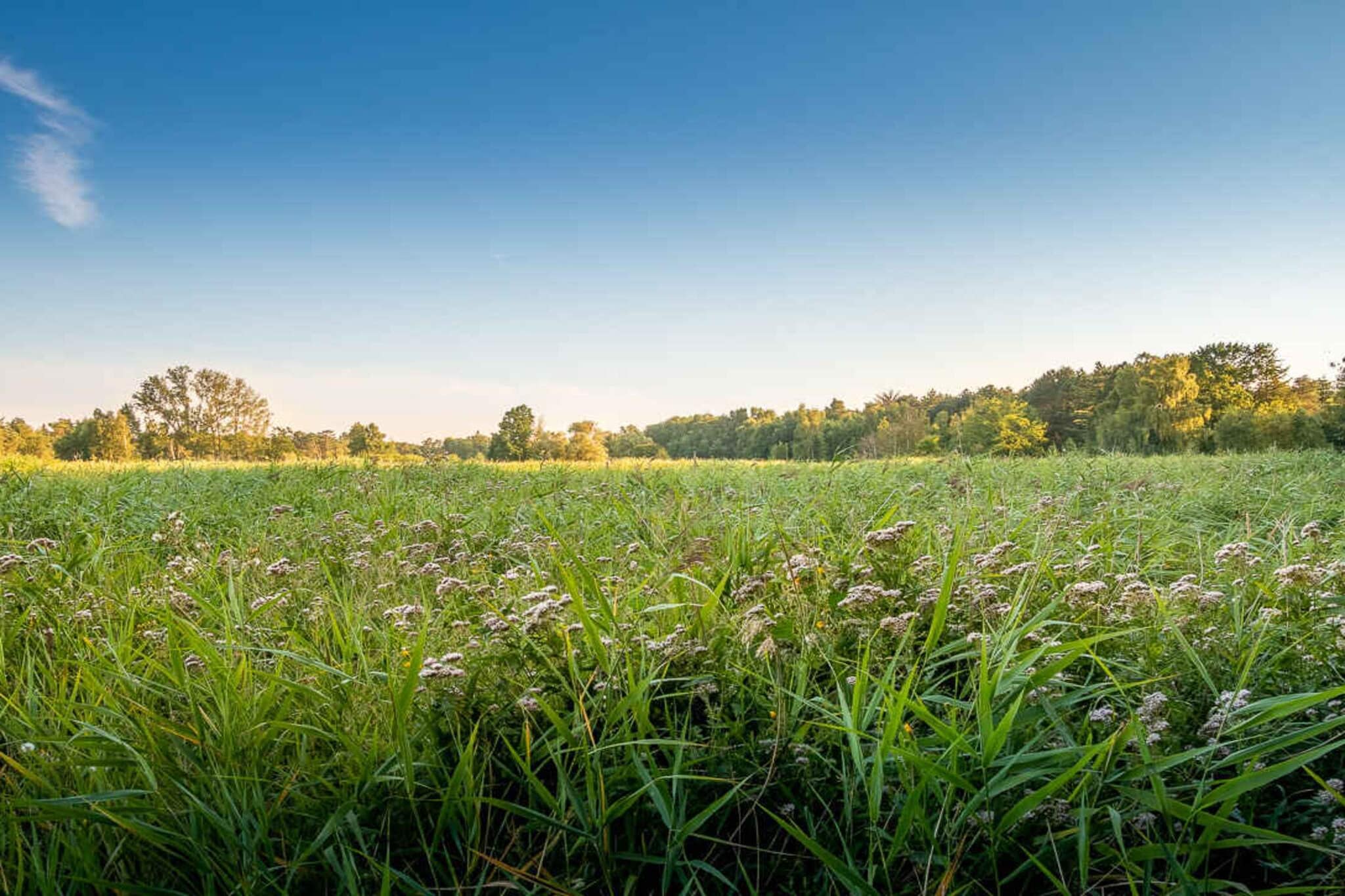 5 Sterne Ferienhaus in Store Fuglede-Wasserblick