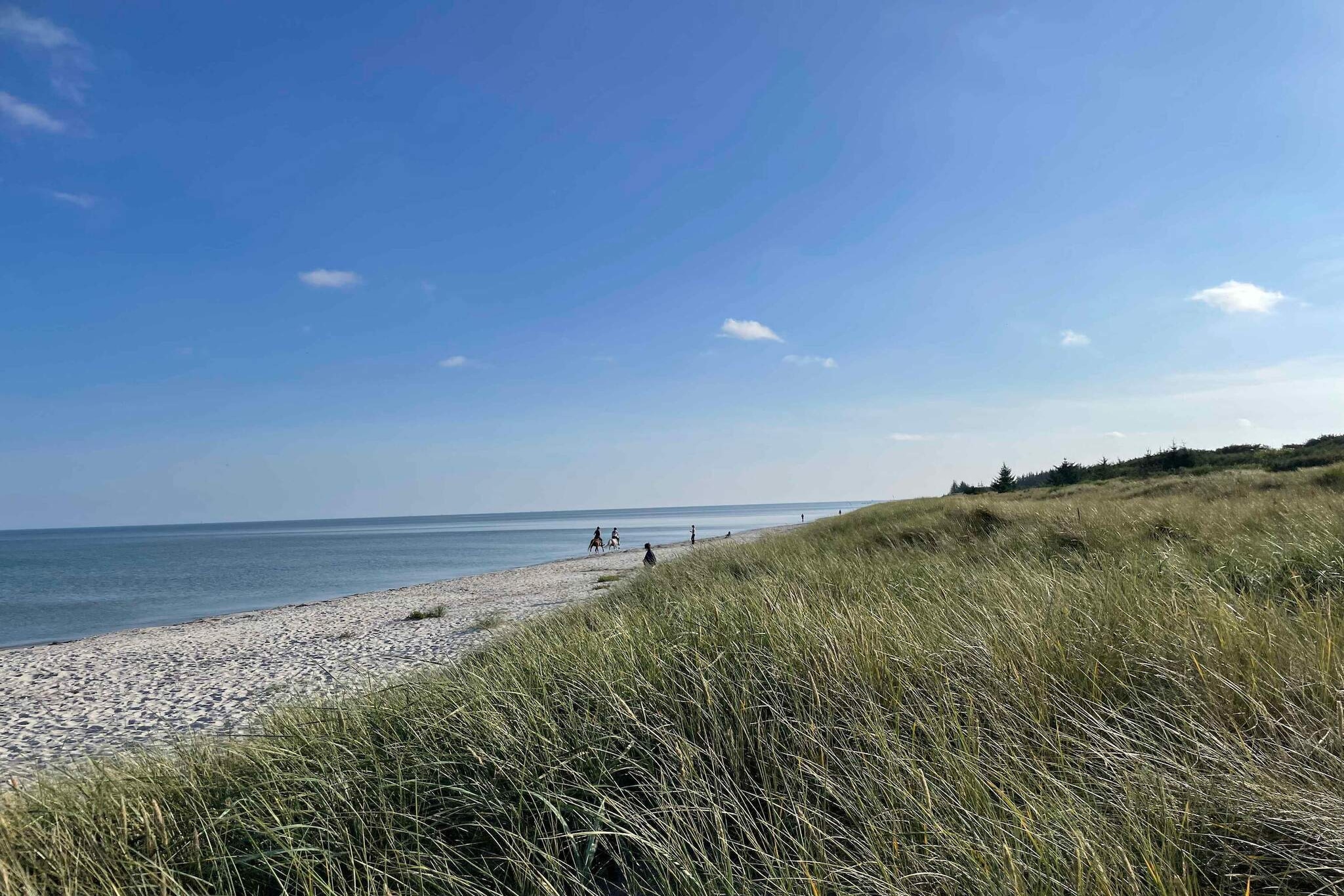 5 star holiday home in Hals-Outdoor