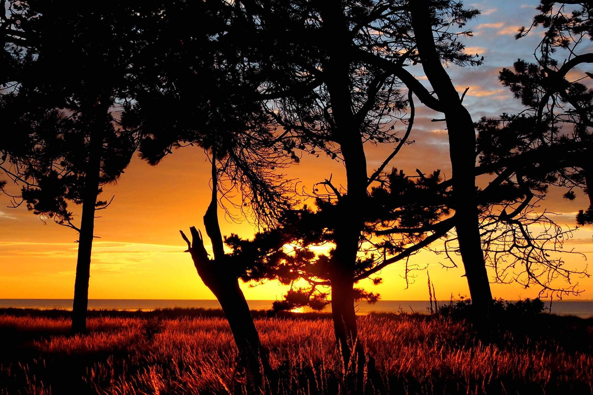 5 sterren vakantie huis in Asnæs-Buitenlucht