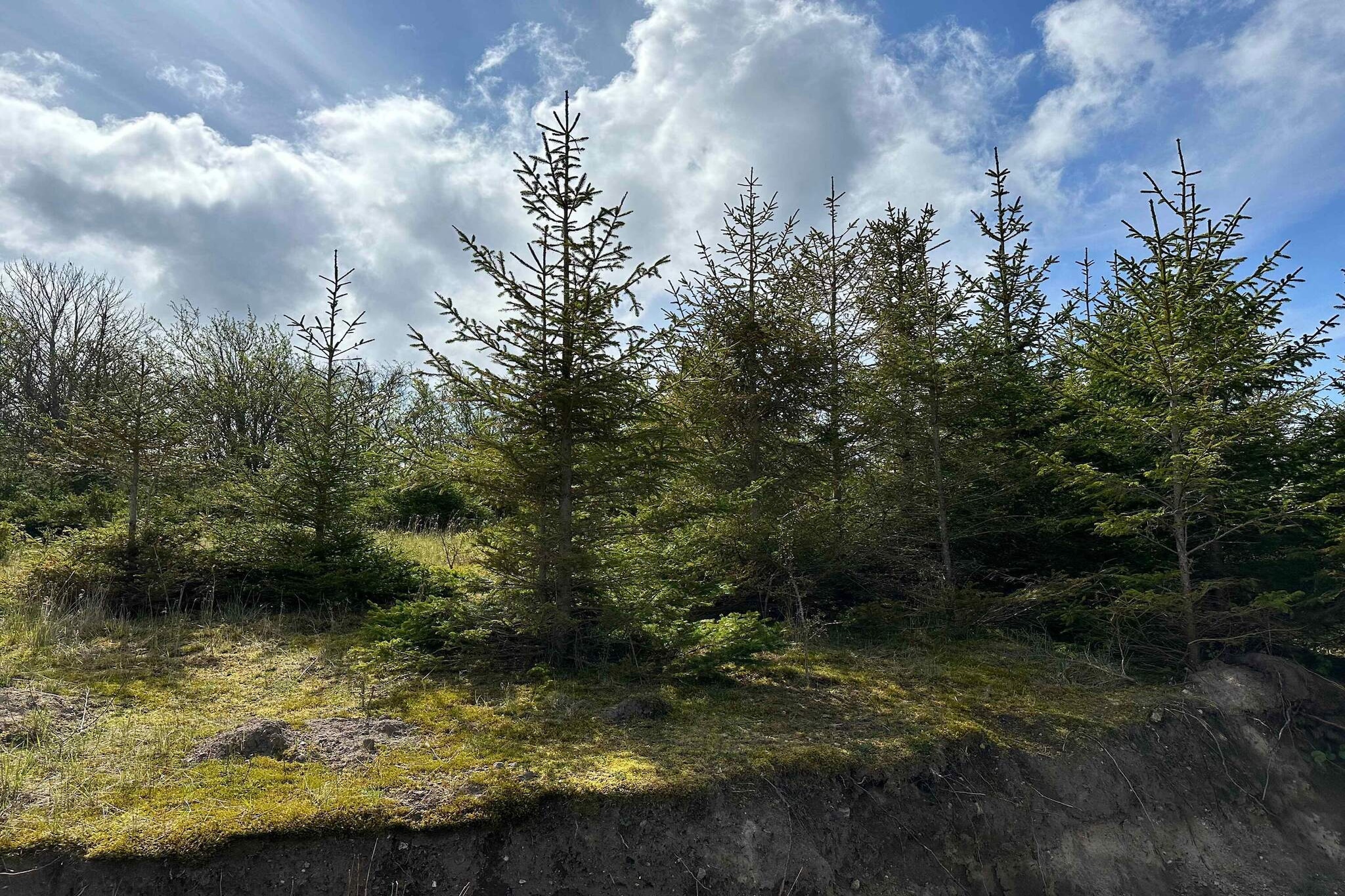 5 sterren vakantie huis in Sejerø-Buitenlucht