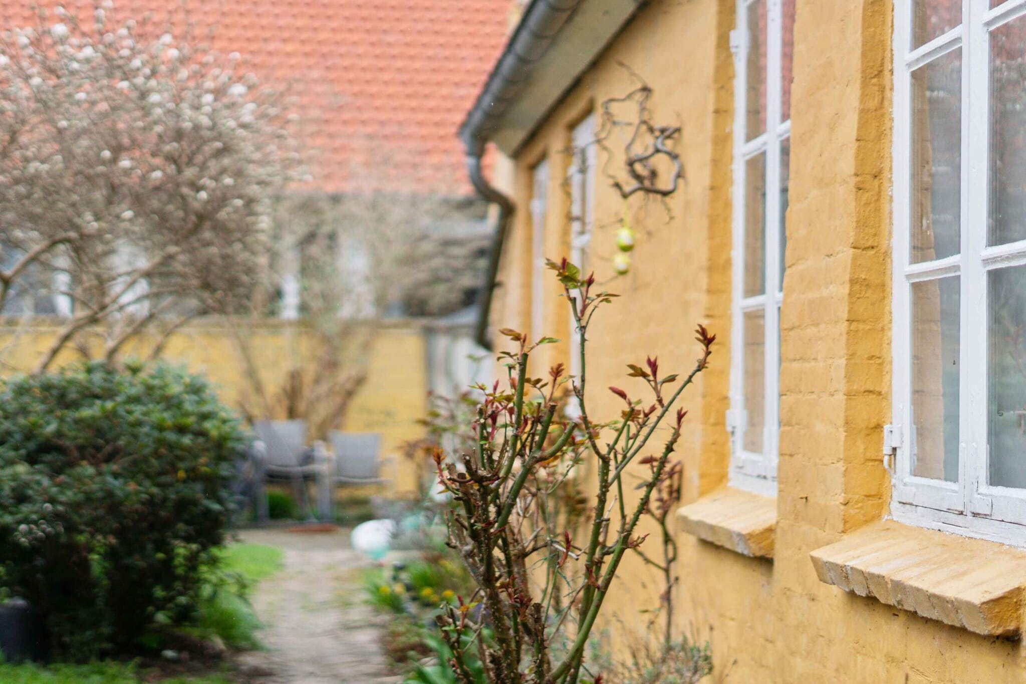5 sterren vakantie huis in Rønne