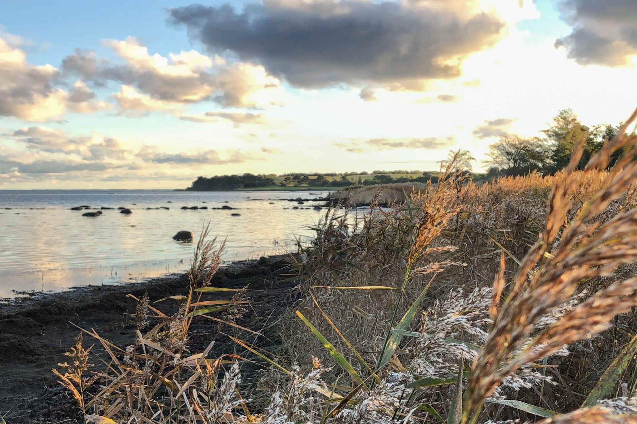 5 star holiday home in Holbæk-Water view