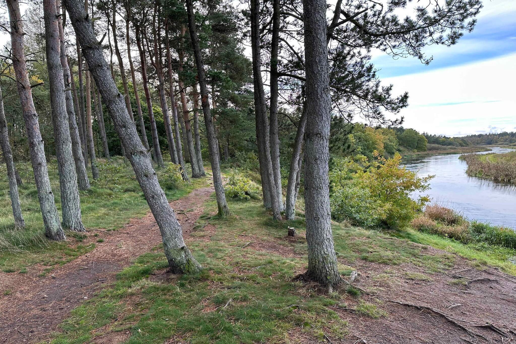 5 sterren vakantie huis in Fårvang-Buitenlucht