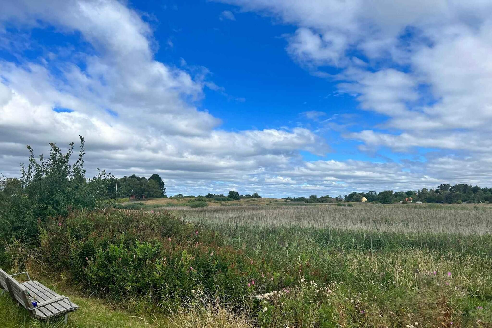 5 Sterne Ferienhaus in Dronningmølle-Im Freien
