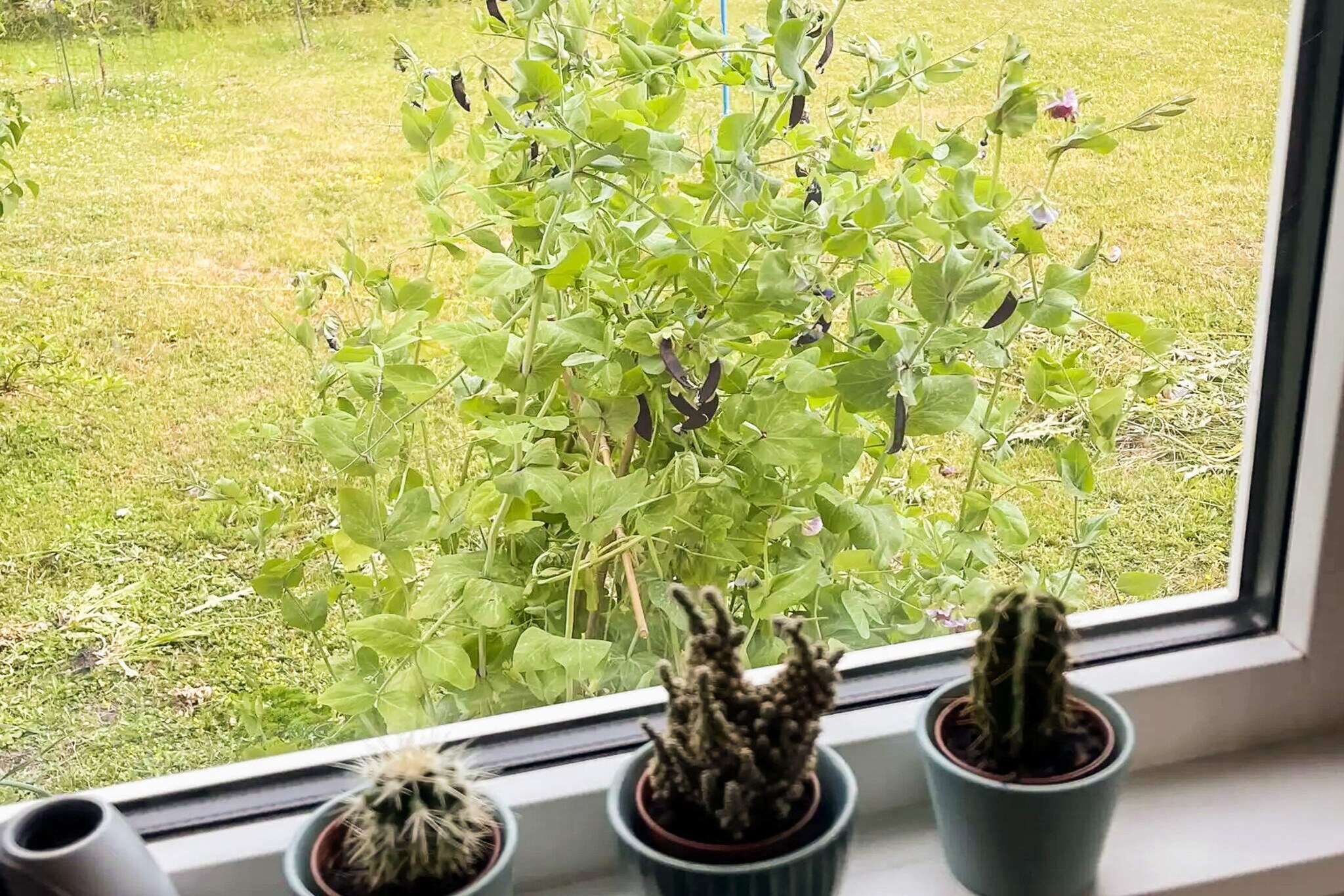 5 sterren vakantie huis in Slagelse-Binnen