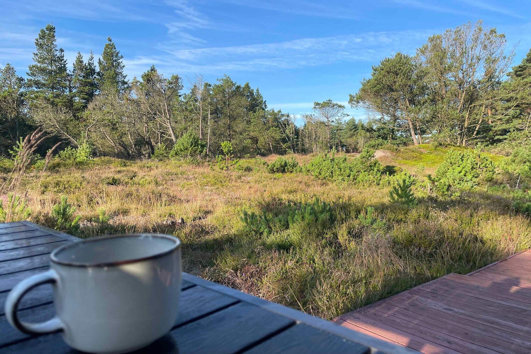 5 Sterne Ferienhaus in Ålbæk-Innenbereich
