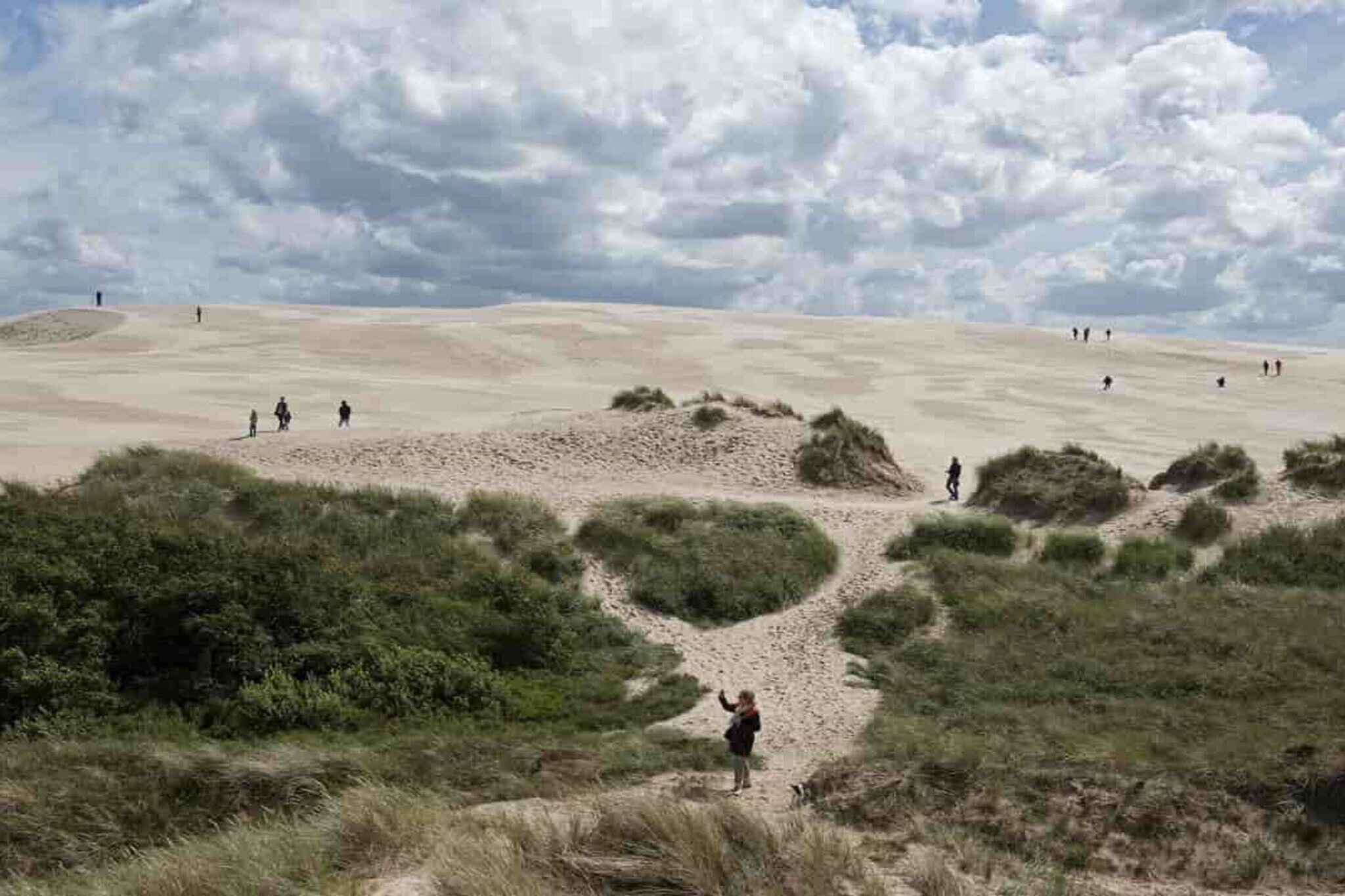 5 Sterne Ferienhaus in Ålbæk-Aussicht
