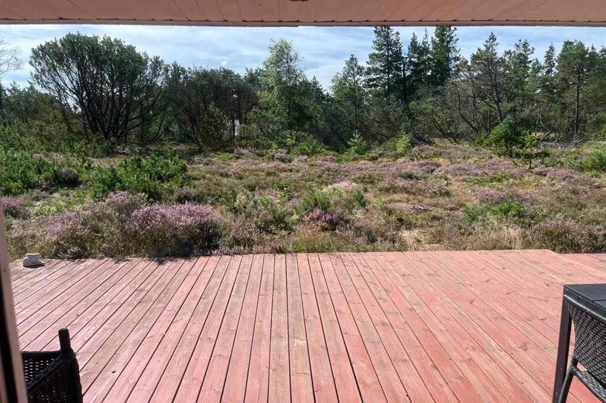 5 Sterne Ferienhaus in Ålbæk-Aussicht