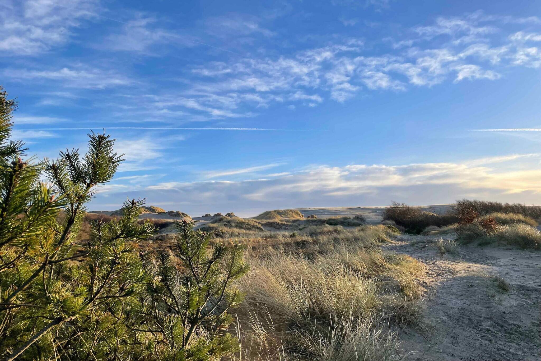5 Sterne Ferienhaus in Ålbæk-Aussicht