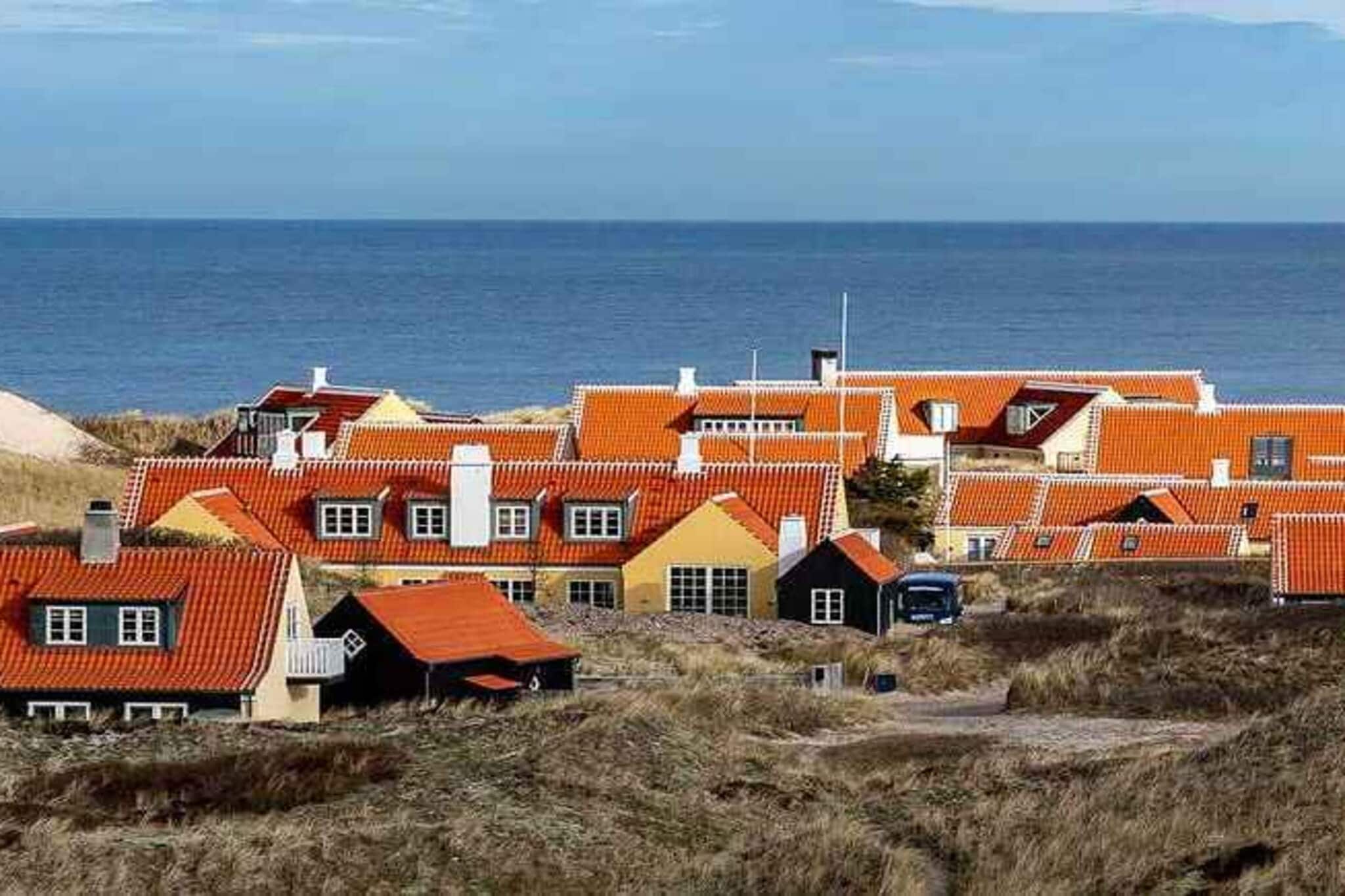 5 sterren vakantie huis in Skagen