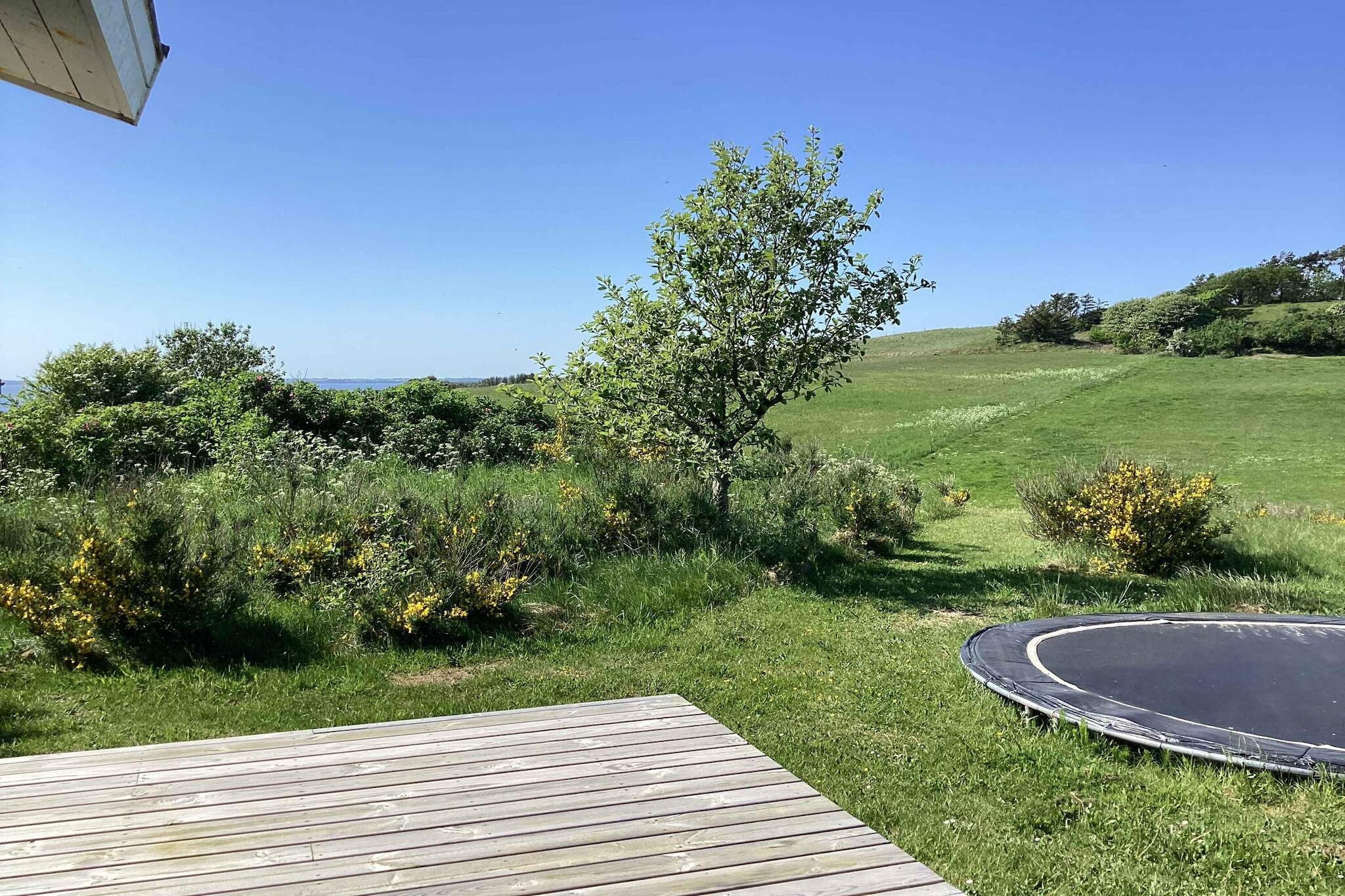 5 sterren vakantie huis in Spøttrup-Buitenlucht