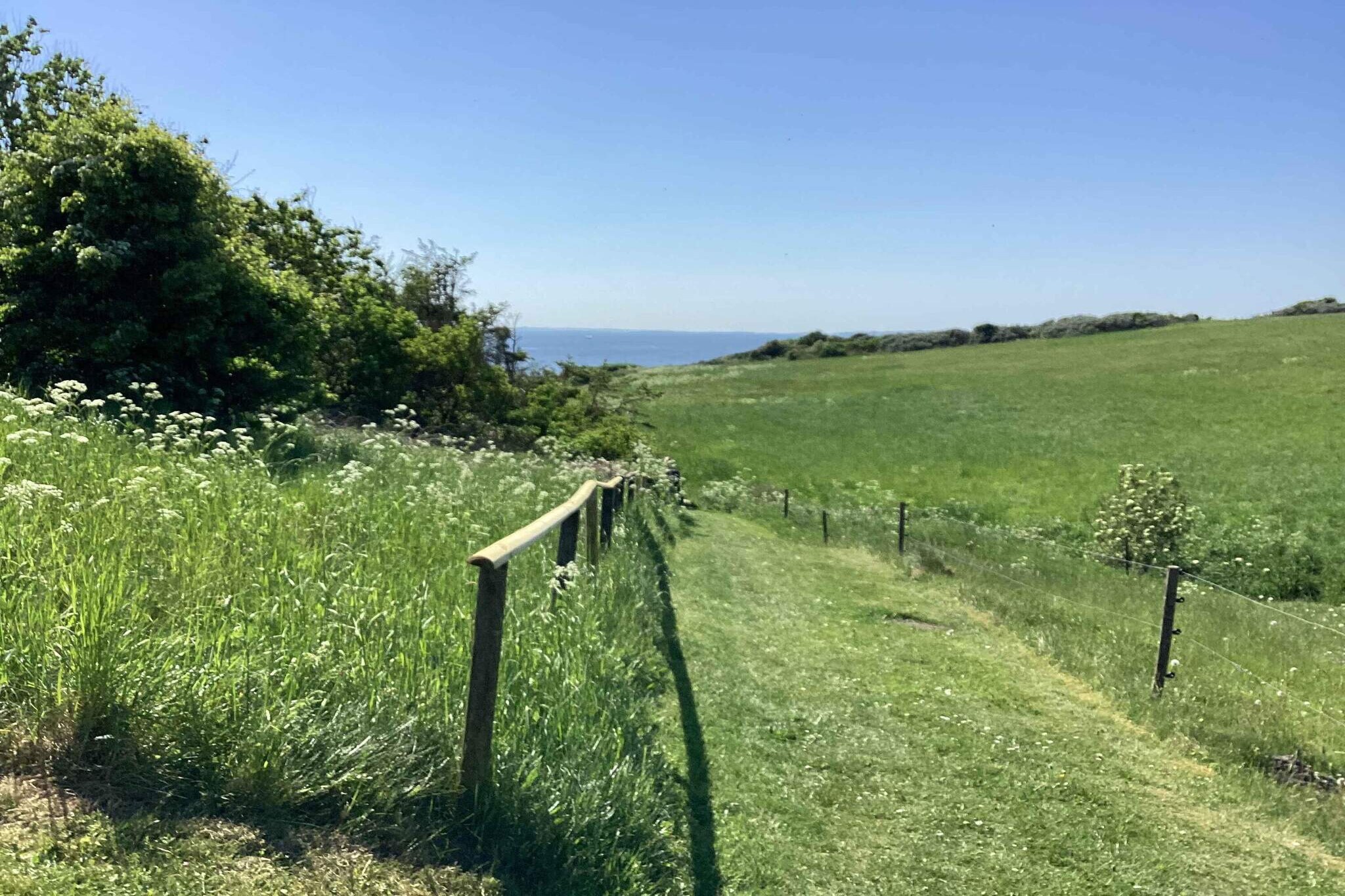 5 sterren vakantie huis in Spøttrup-Buitenlucht