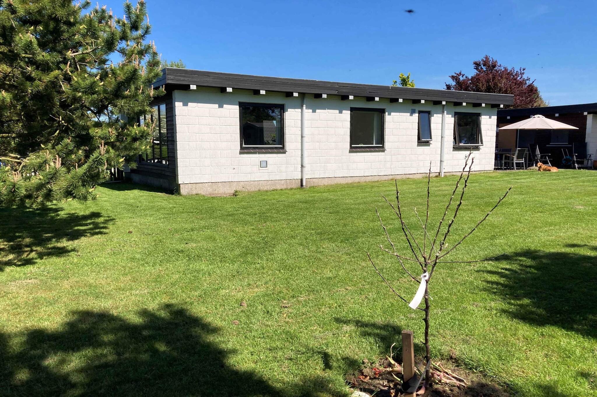 5 sterren vakantie huis in Bogense