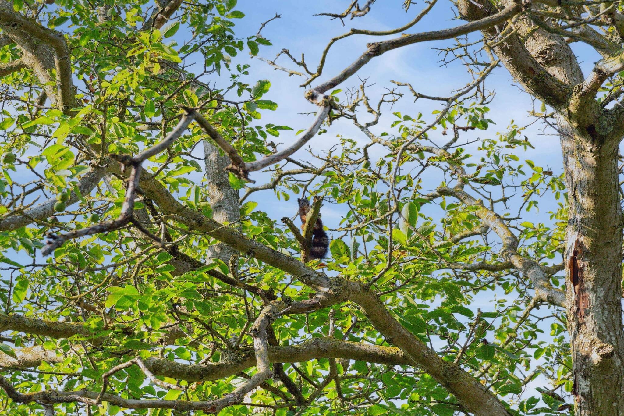 5 sterren vakantie huis in Ullerslev-Buitenlucht