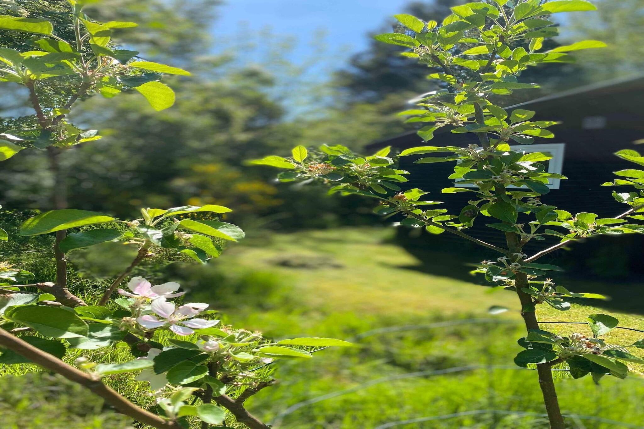 5 sterren vakantie huis in Gørlev-Niet-getagd