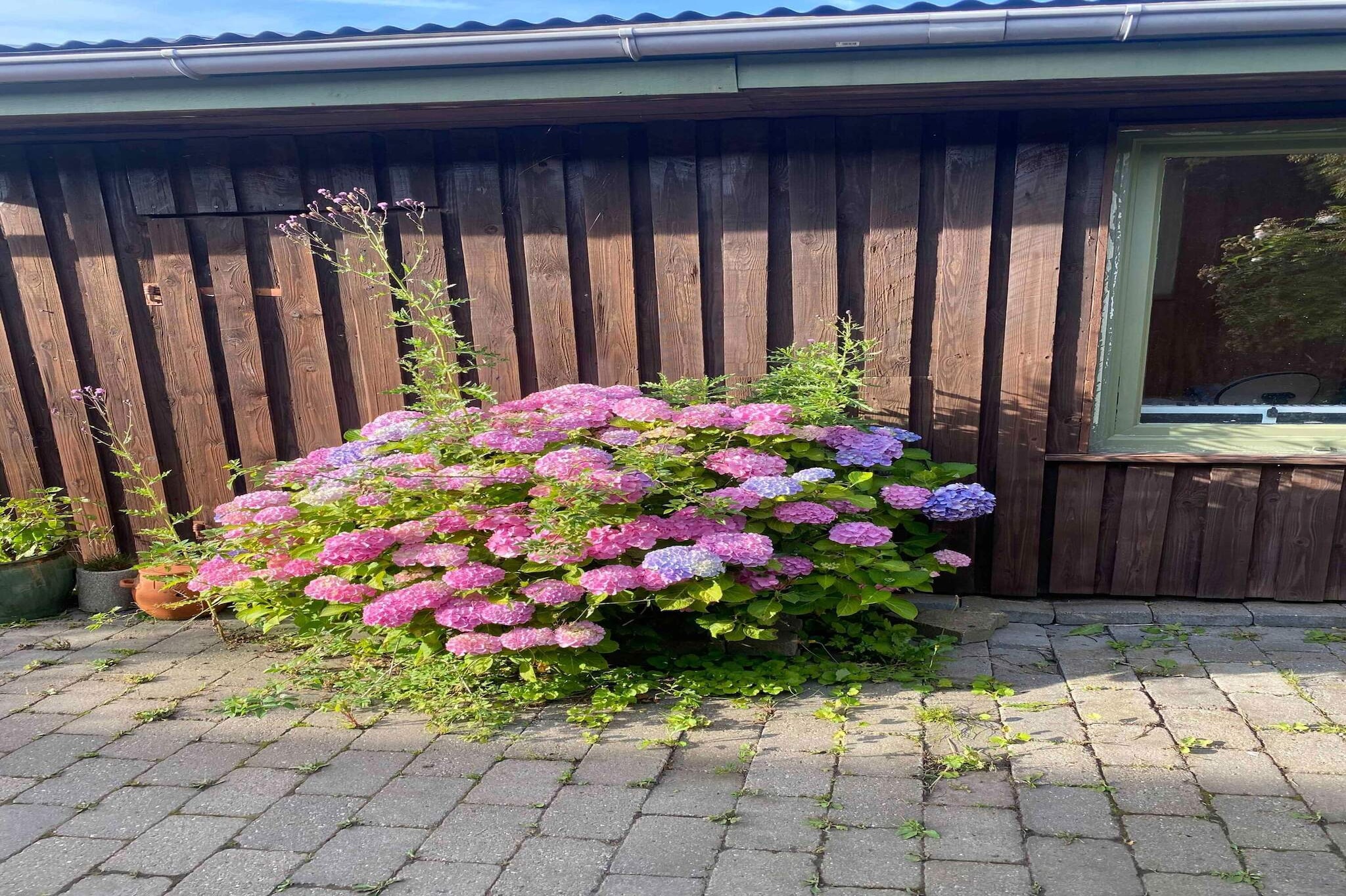 5 star holiday home in Fårevejle-Outdoor