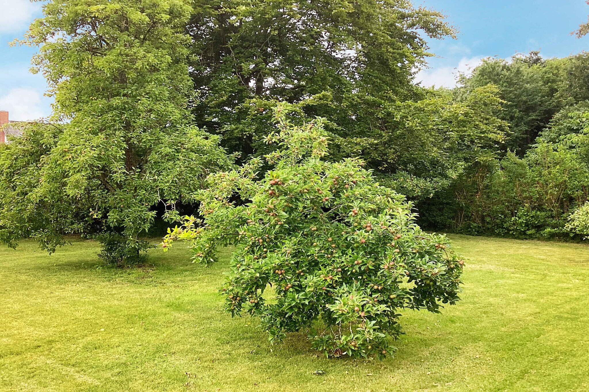 5 sterren vakantie huis in Fur-Niet-getagd