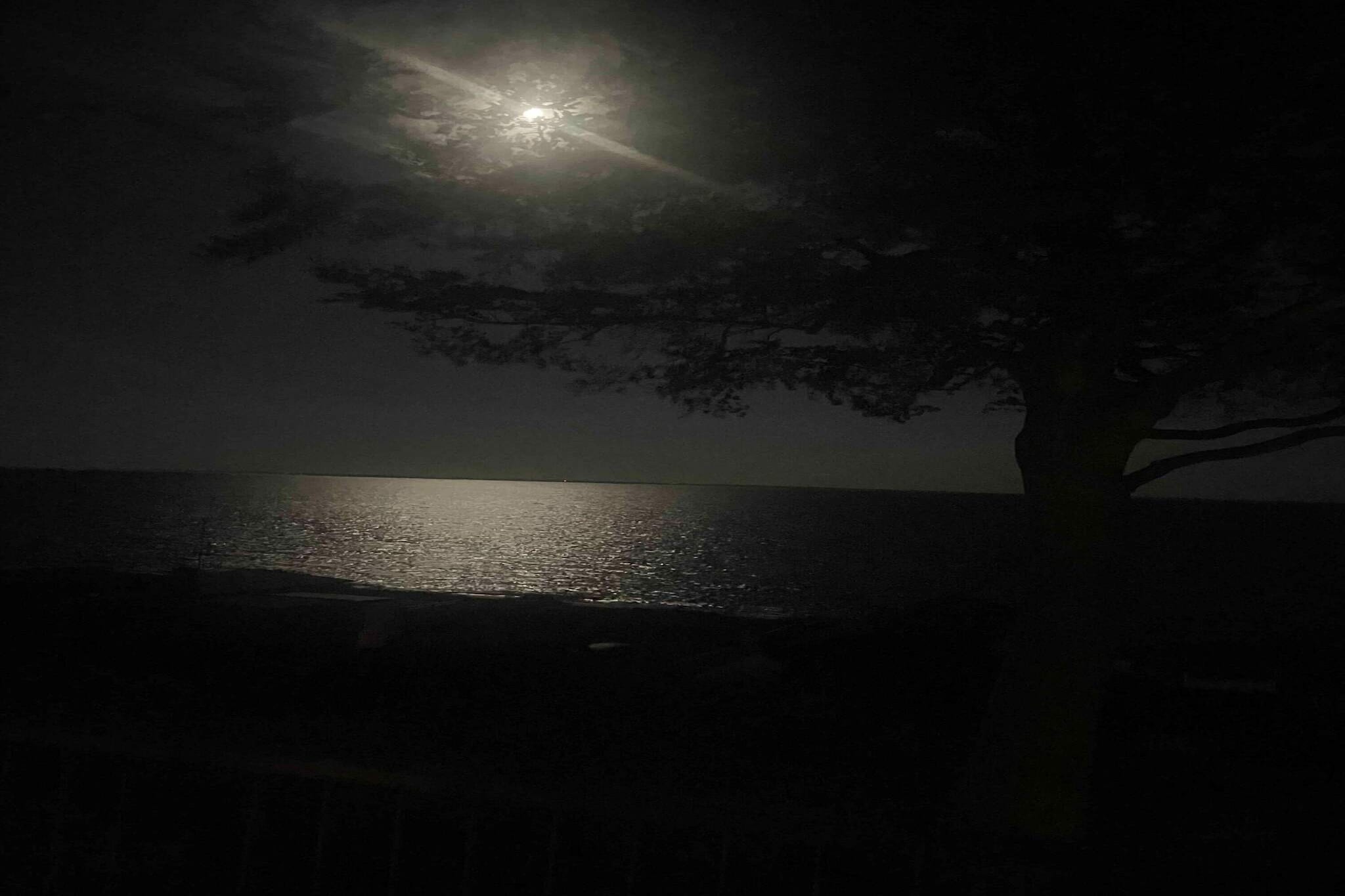 Maison de vacances pour 6 a Haderslev-Vue sur l'eau