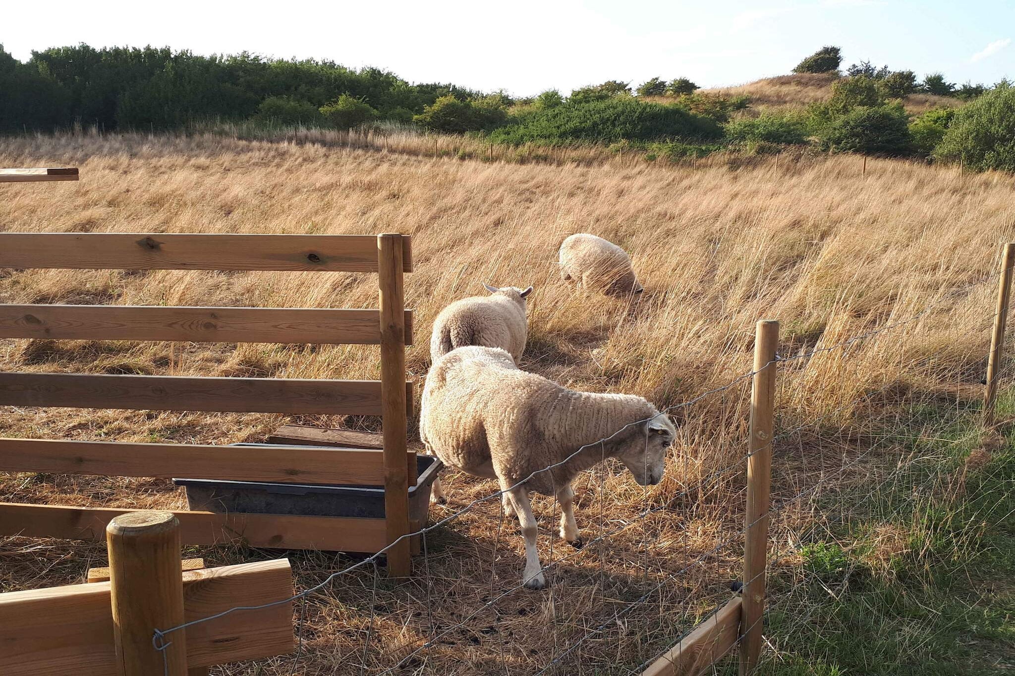 5 sterren vakantie huis in Humble-Buitenlucht