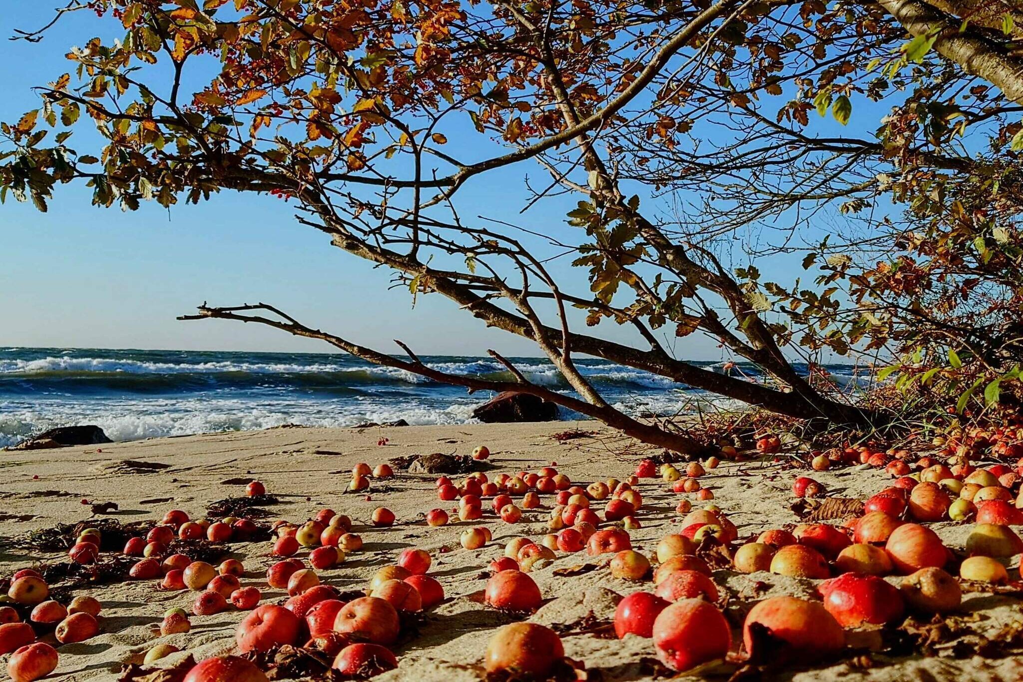 5 etoiles maison de vacances a Rønne-Vue sur l'eau