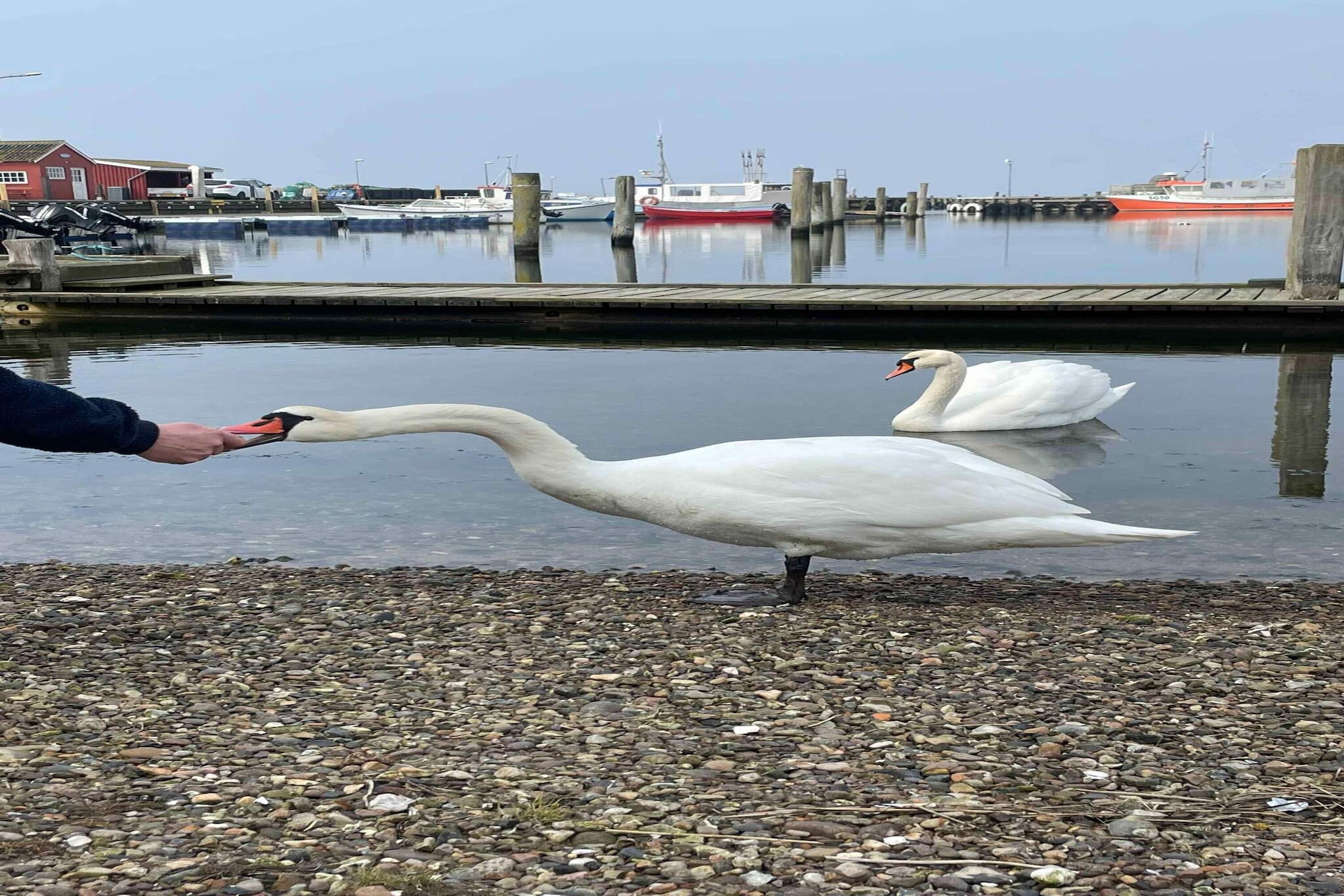 5 sterren vakantie huis in Bagenkop-Buitenlucht