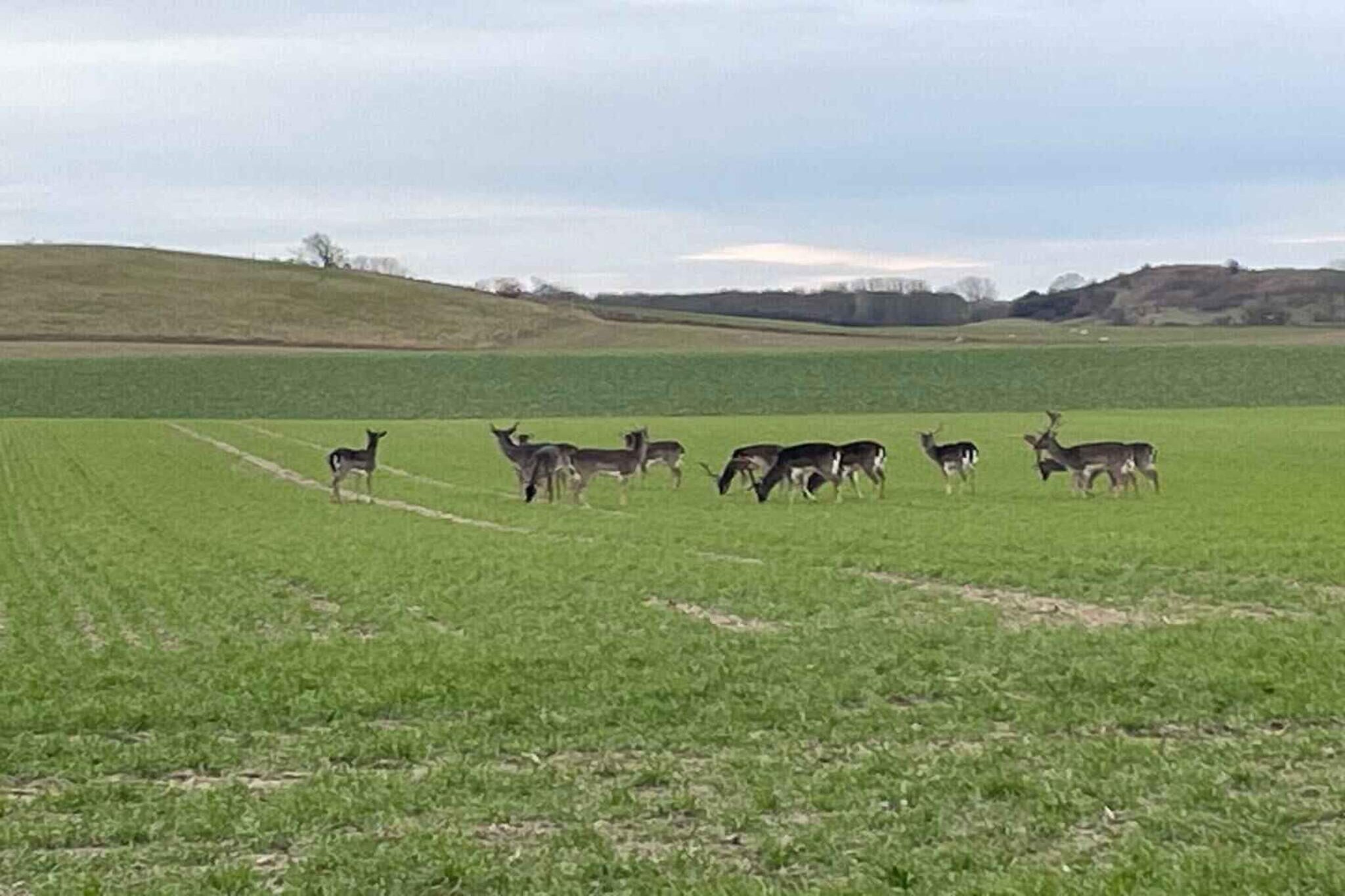 5 sterren vakantie huis in Bagenkop-Niet-getagd