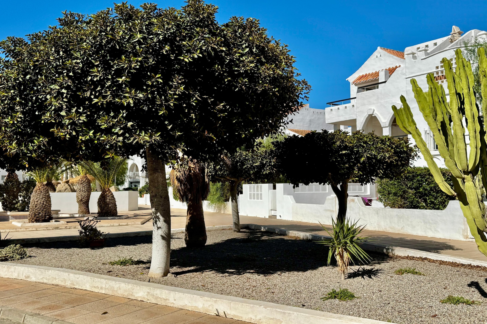 Golf Center Bajo 3-Gebieden zomer 1km