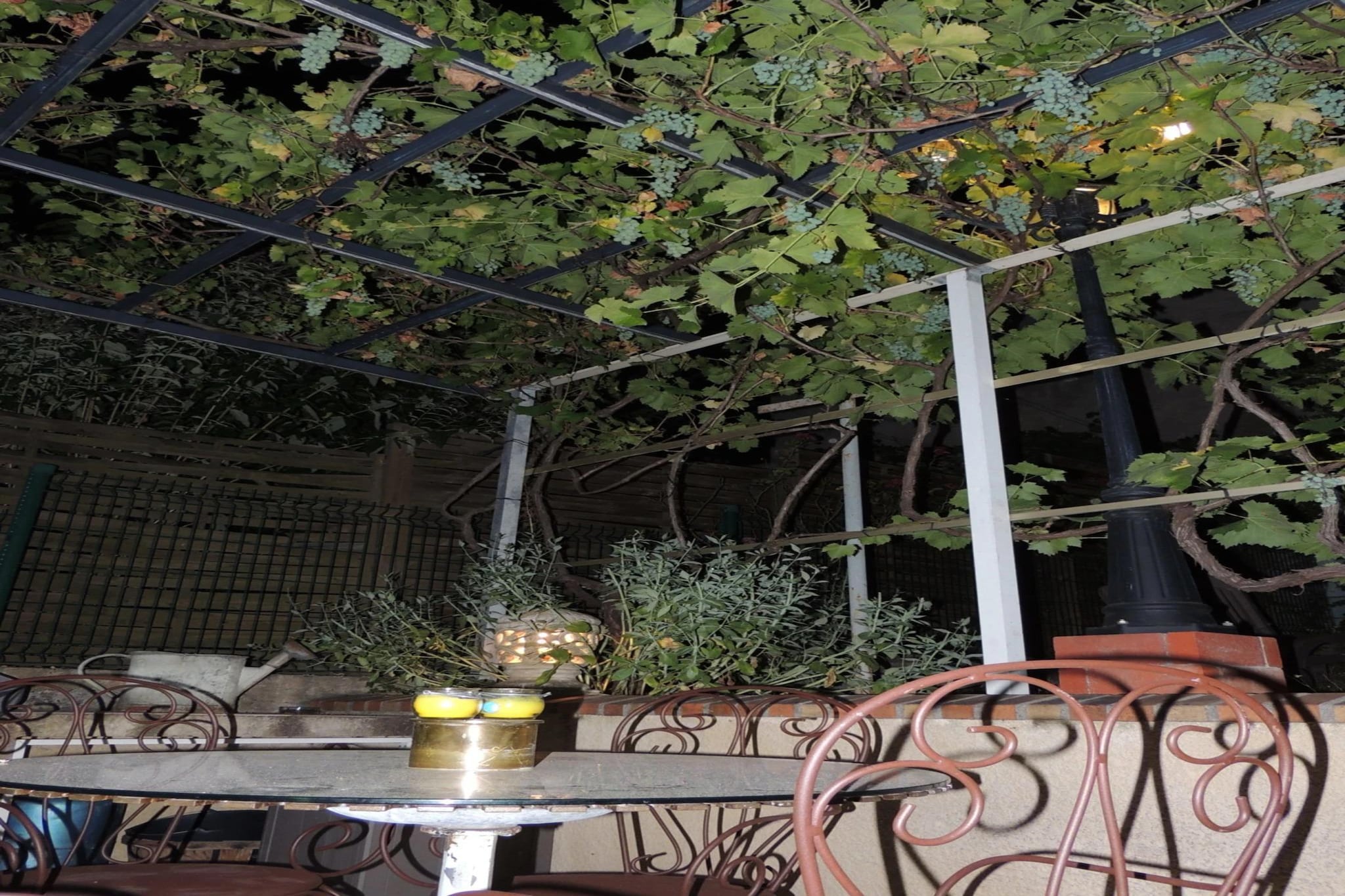 L'hôte antique-Terrasbalkon