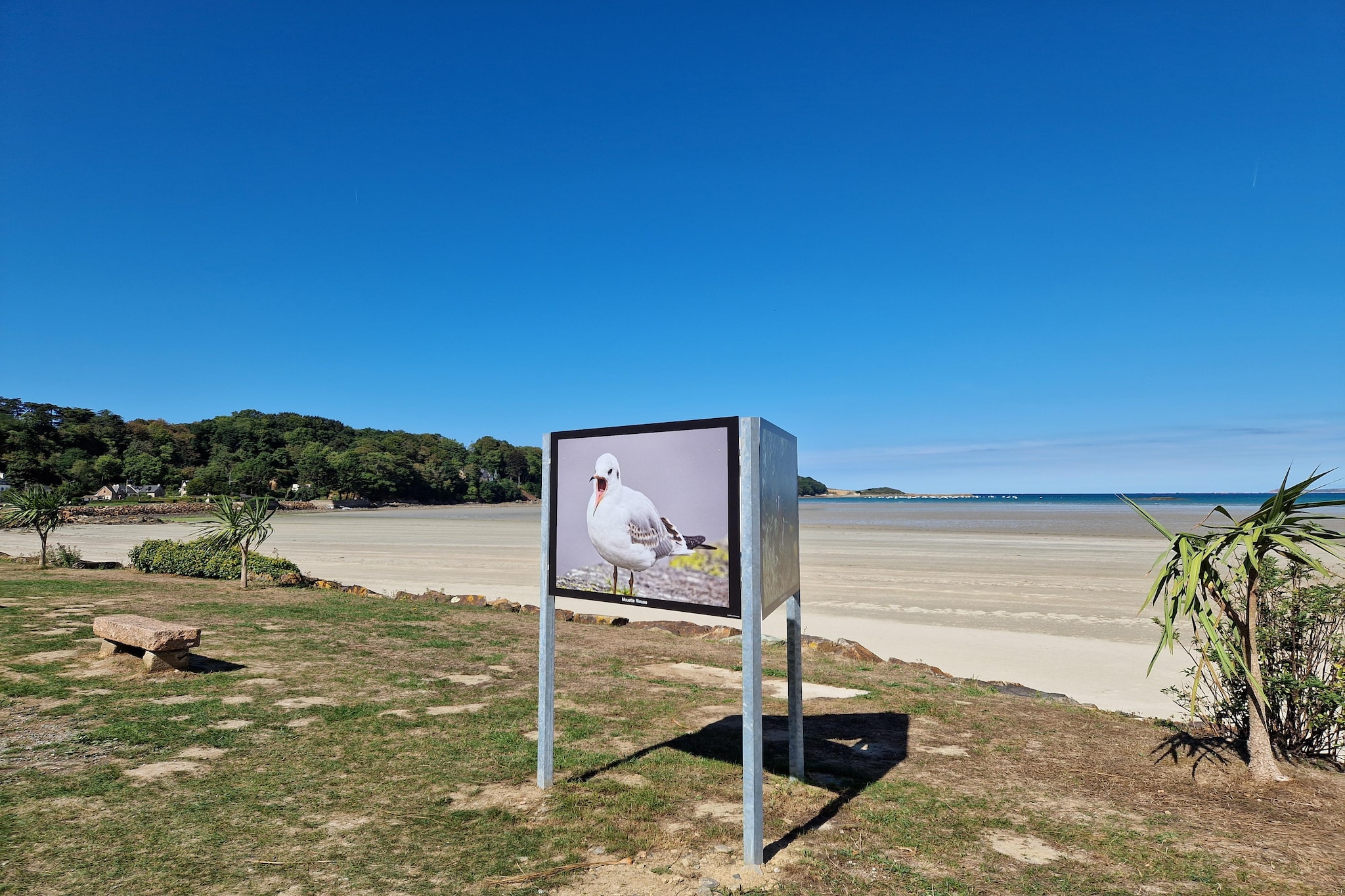 Maison de ville avec terrasse/jardin Guerlesquin-Gebieden zomer 20km