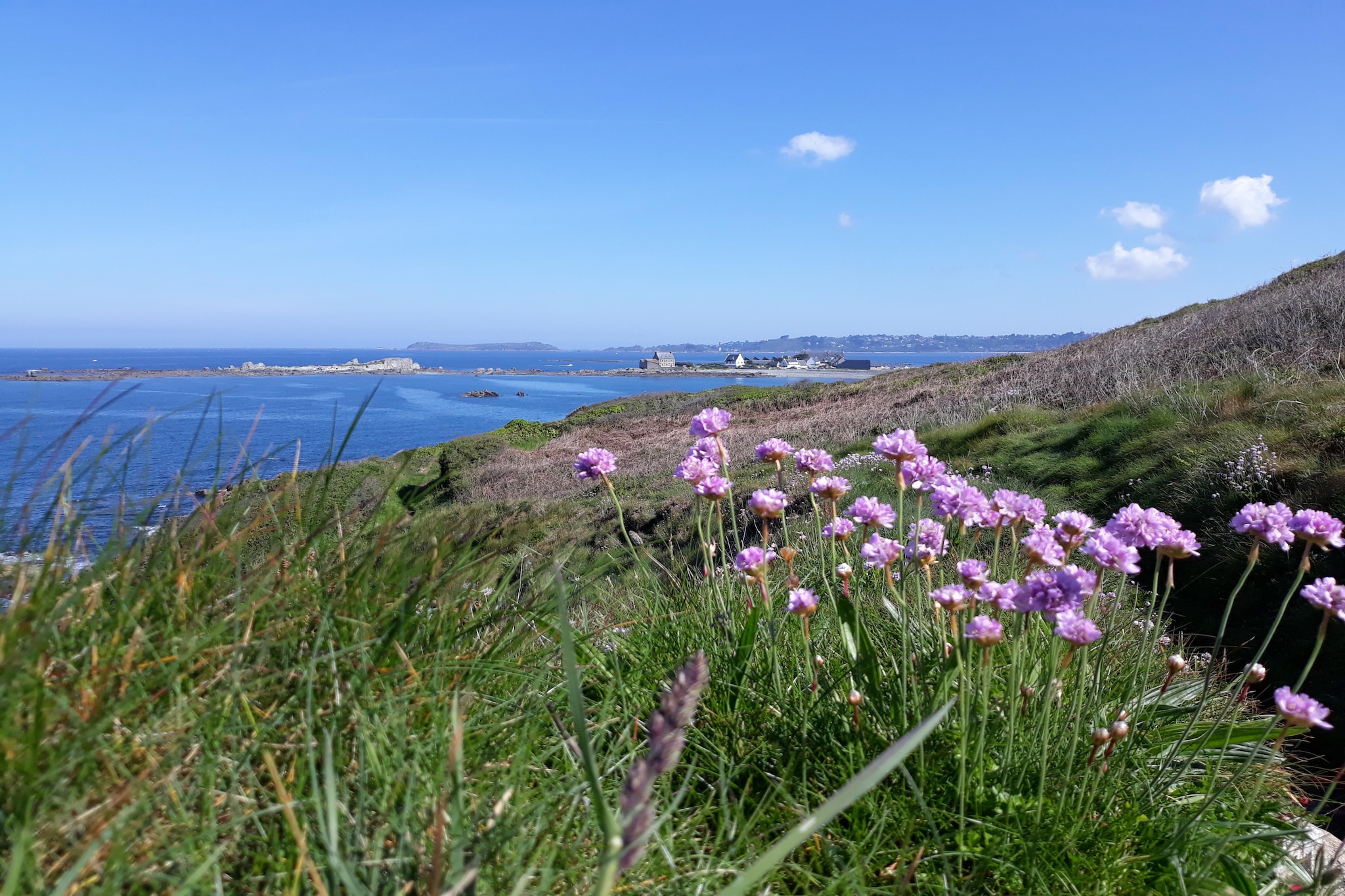 Maison de ville avec terrasse/jardin Guerlesquin-Gebieden zomer 20km