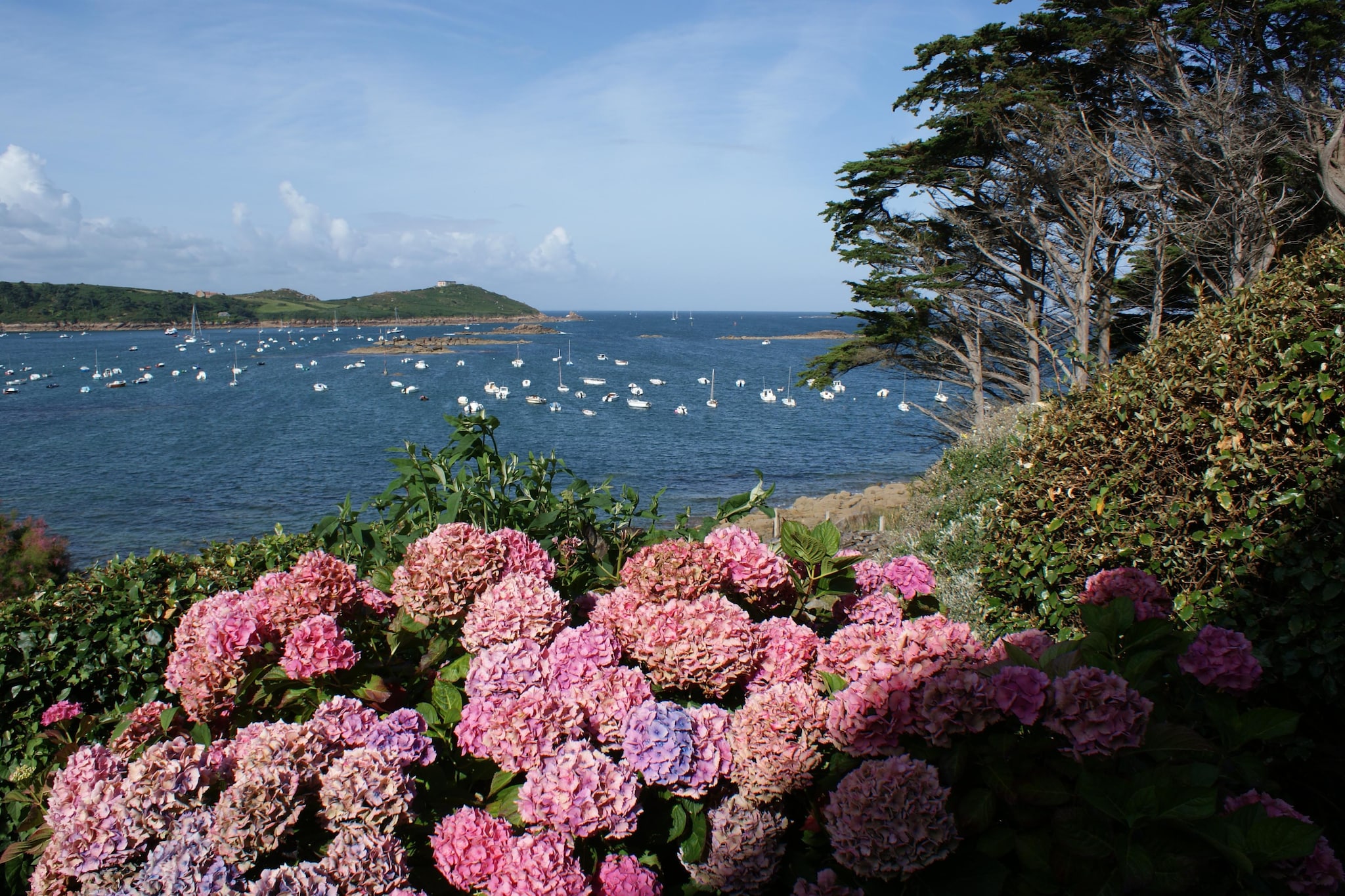 Maison de ville avec terrasse/jardin Guerlesquin-Gebieden zomer 20km