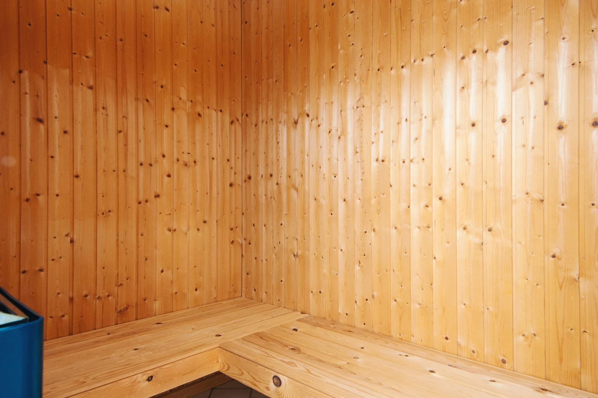 4 sterren vakantie huis in Tarm-Sauna