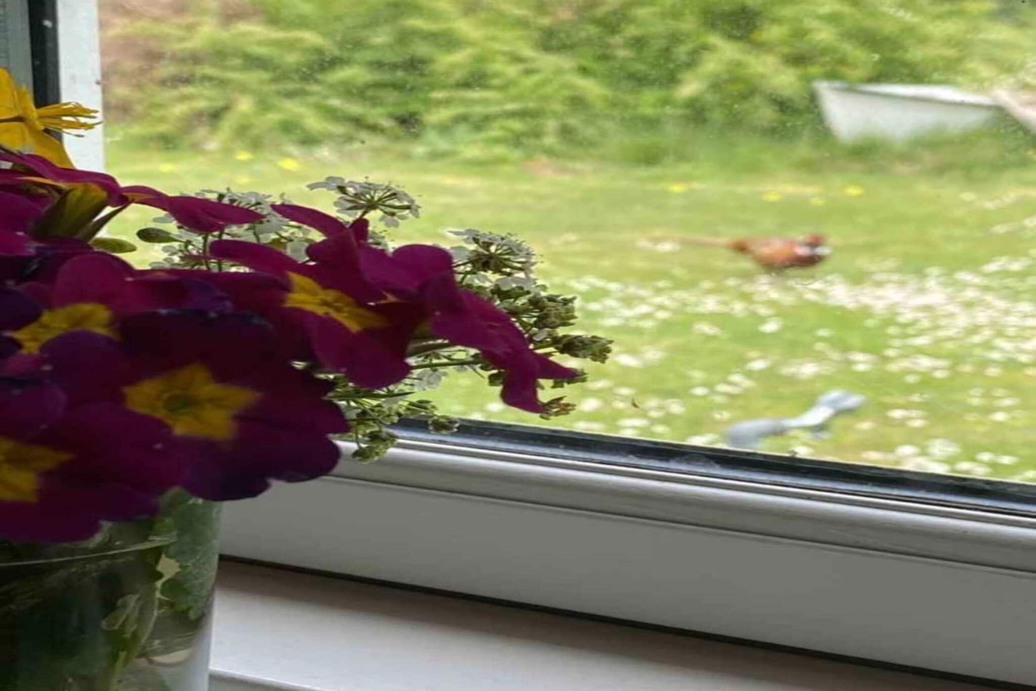 5 sterren vakantie huis in Orø-Uitzicht