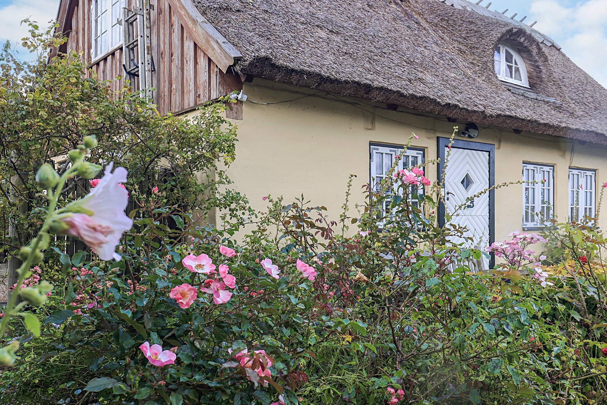 4 Sterne Ferienhaus in Humlebæk-Aussicht