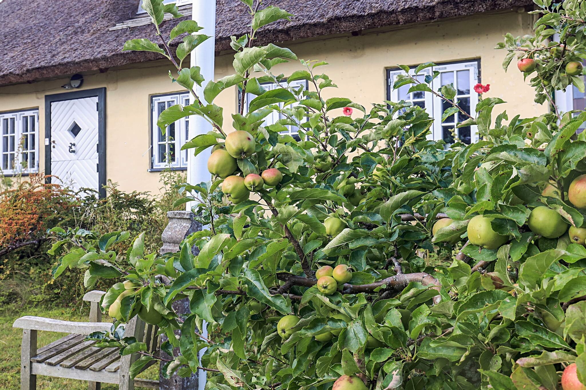 4 Sterne Ferienhaus in Humlebæk-Aussicht