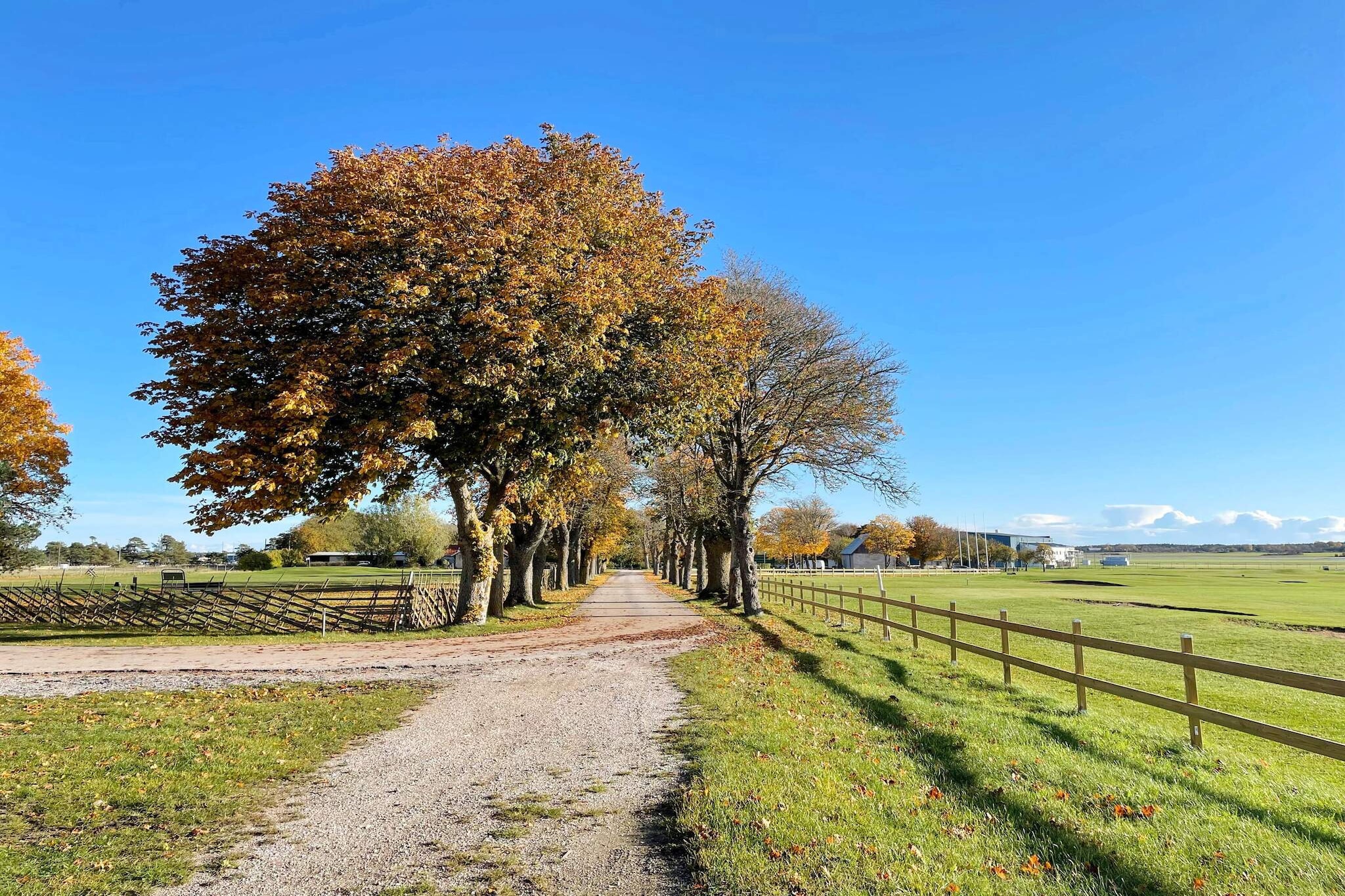 4 sterren vakantie huis in VISBY-Niet-getagd