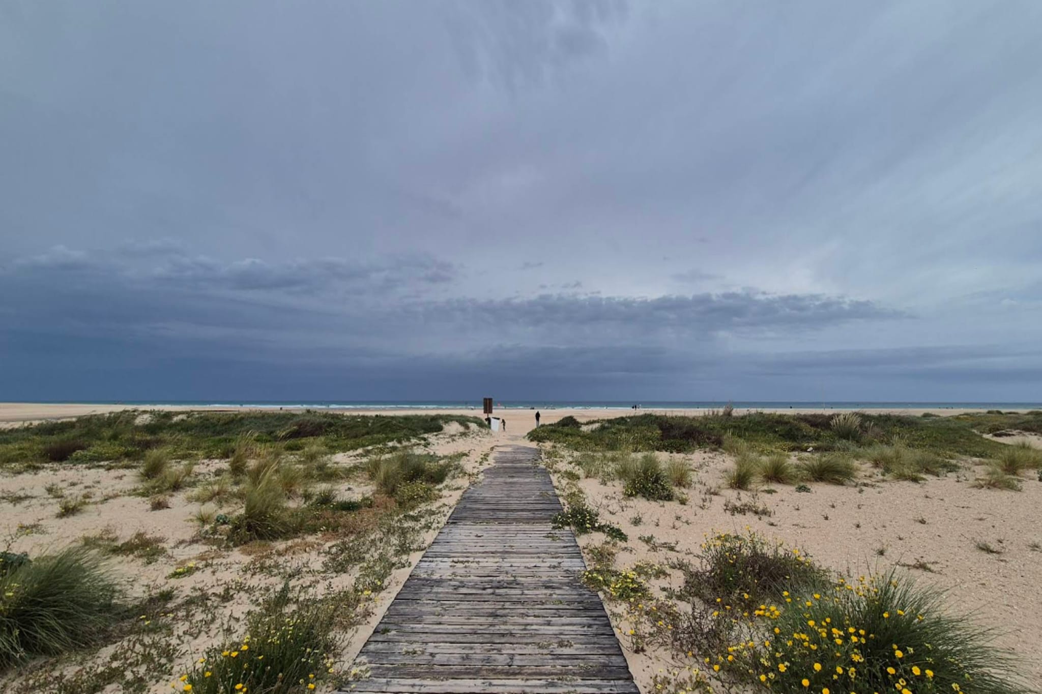 5027-+34667401974-Areas within 5km in summer