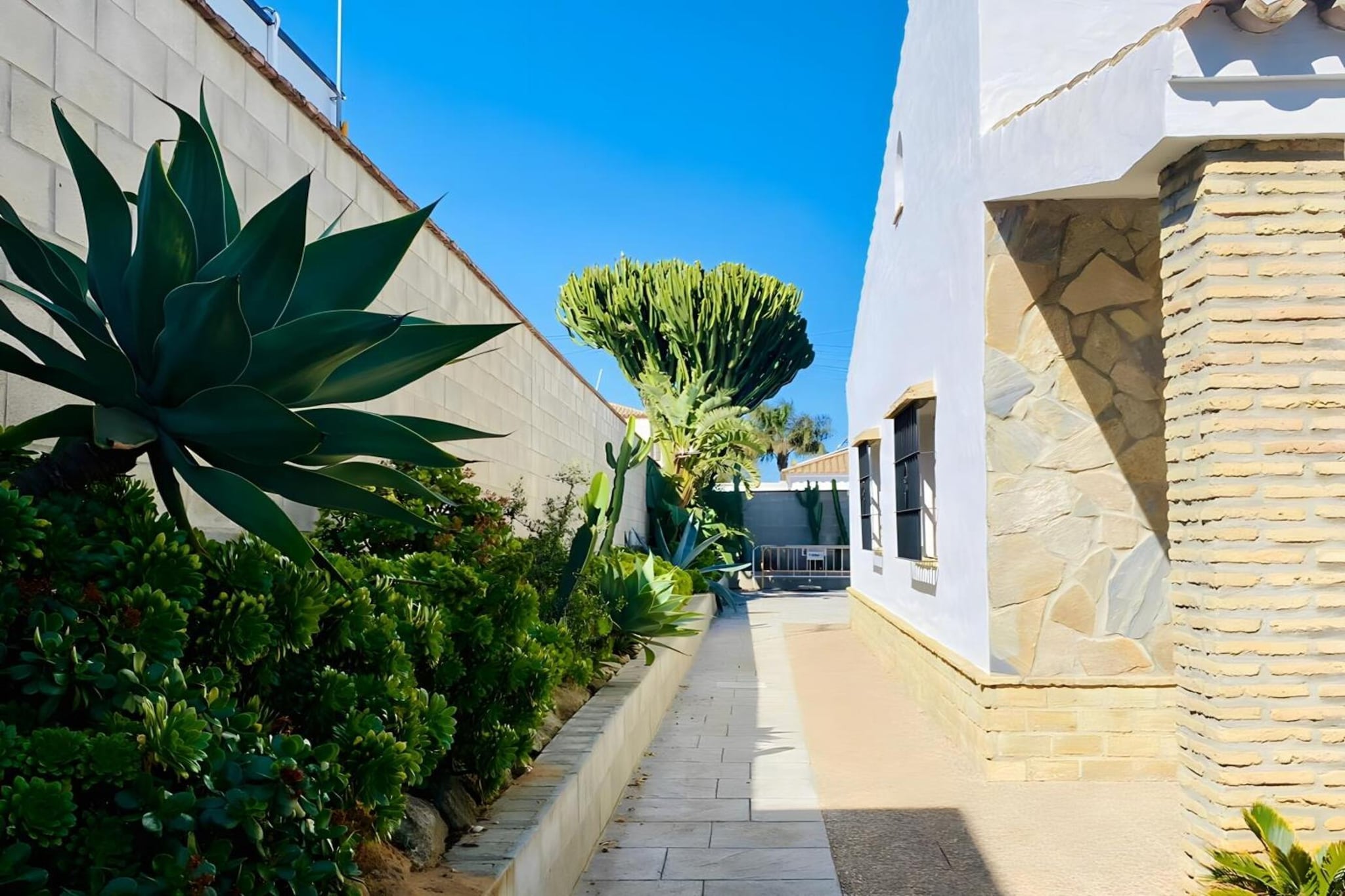 4682-+34618736920-Gebieden zomer 1km