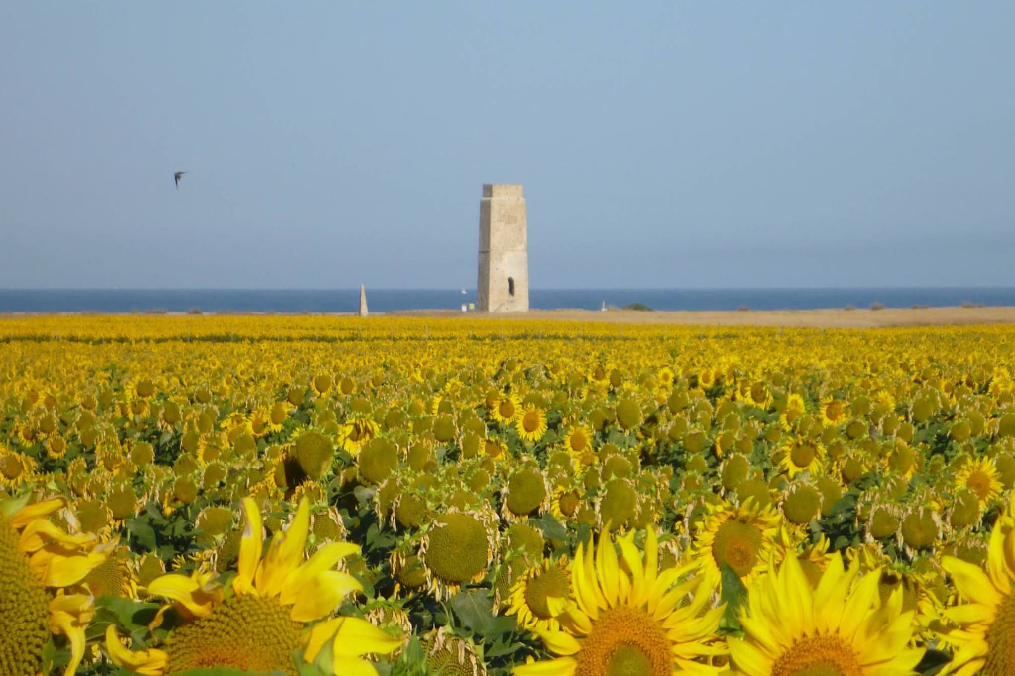 1780-+34636792434-Zones été à 5 km