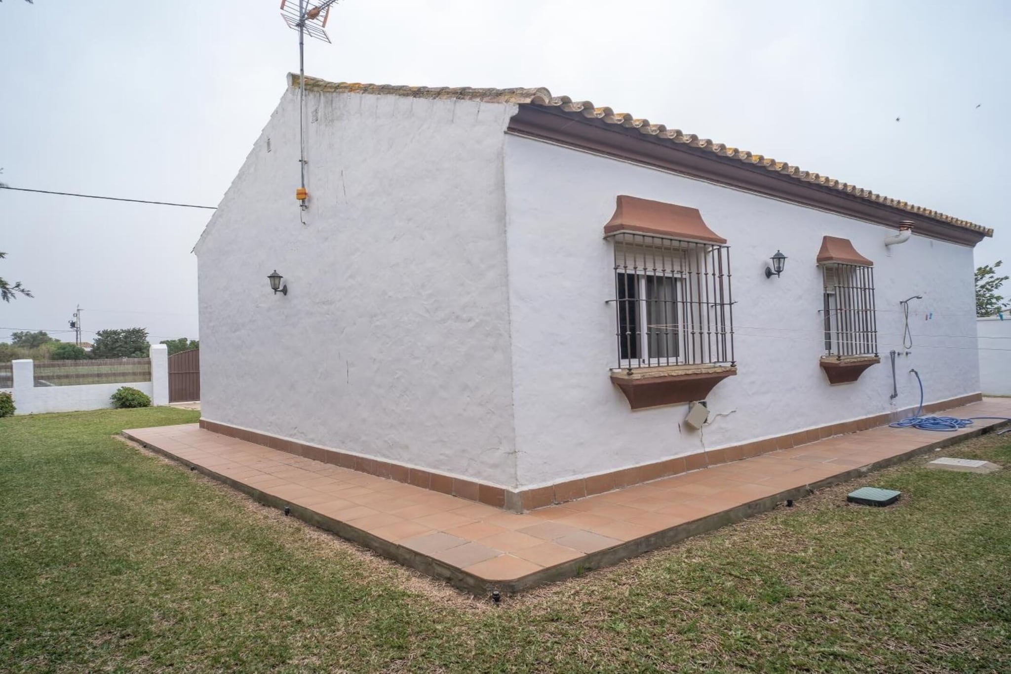 1282-+34630212745-Extérieur été