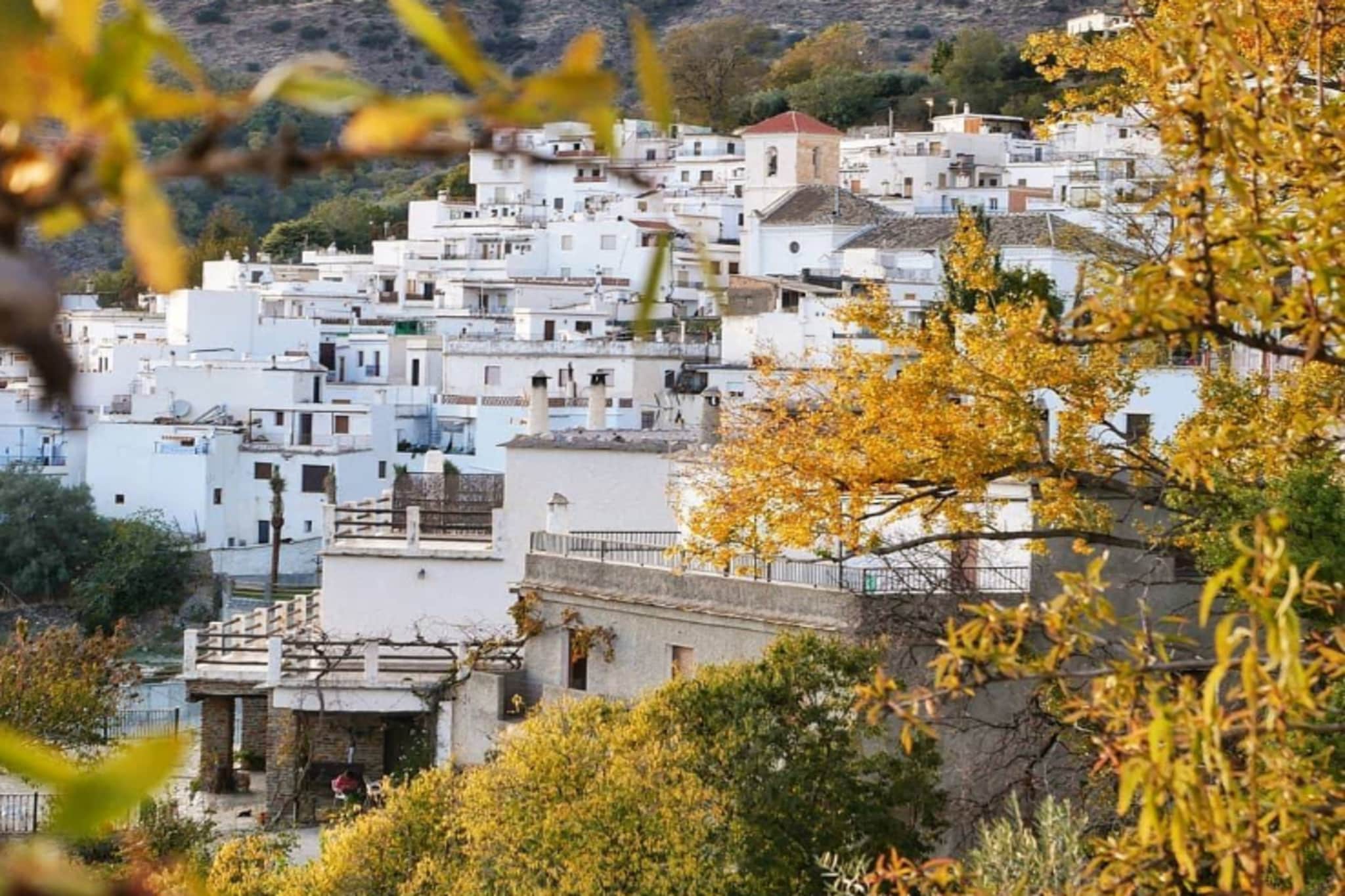 1468-Montebajo-Zones été à 1 km