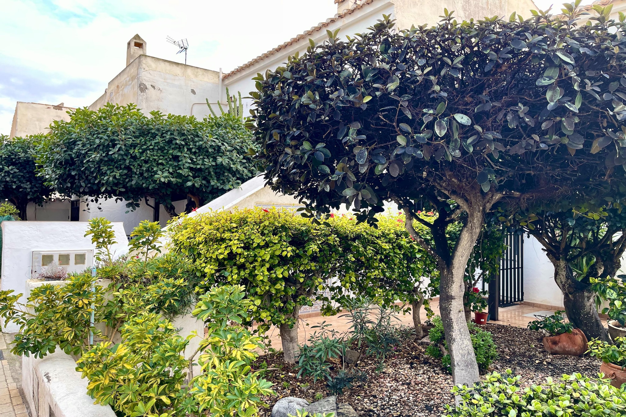 Bungalow Entremares-Tuin winter