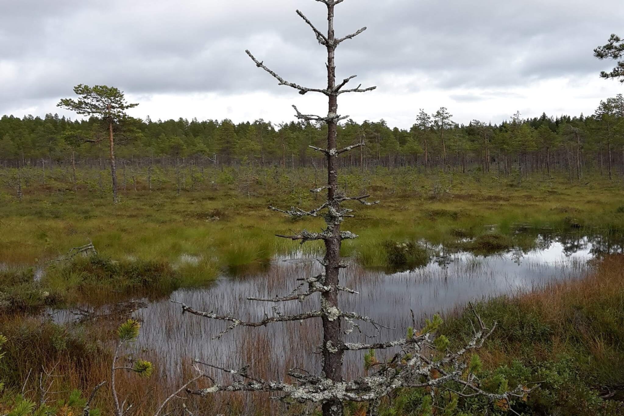 6 Personen vakantie huis in Osen-Niet-getagd