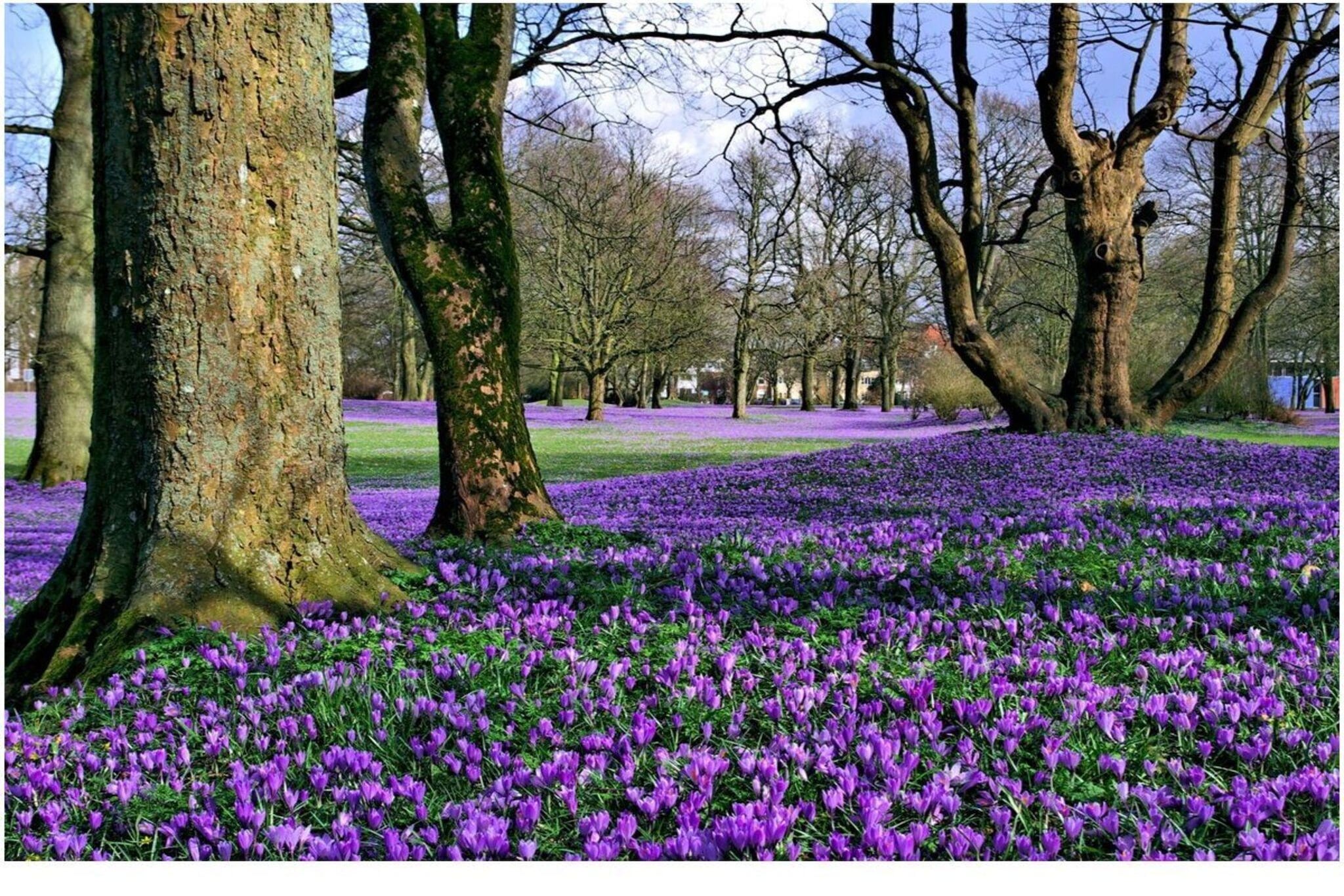 604282-Areas within 1km in summer