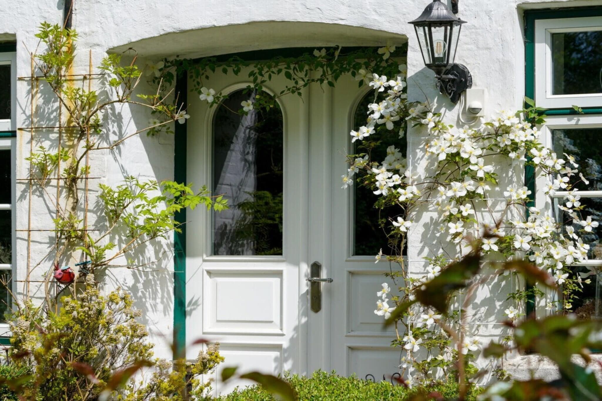 604283-Exterior in summer