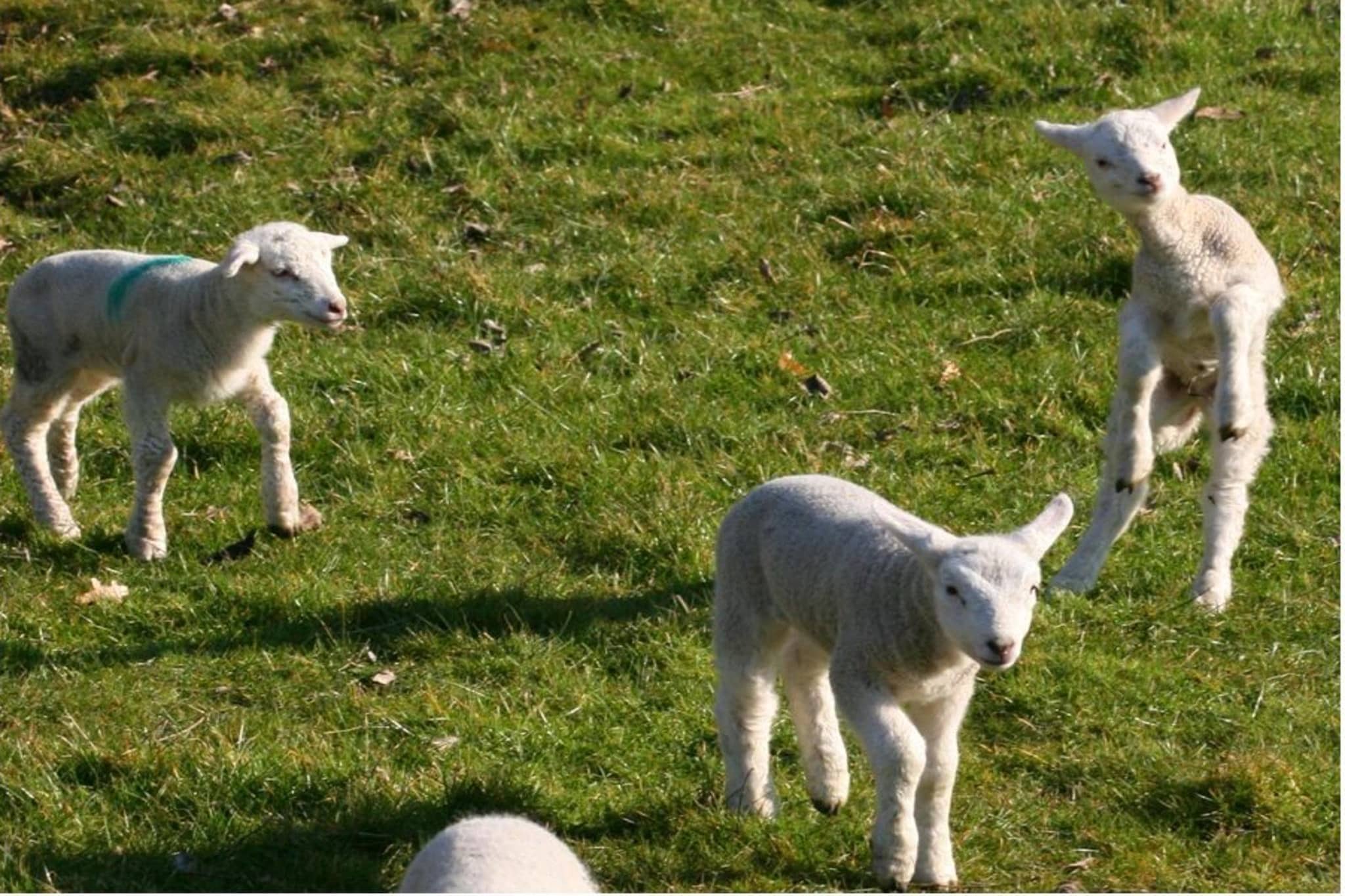 604284-Buitenkant zomer