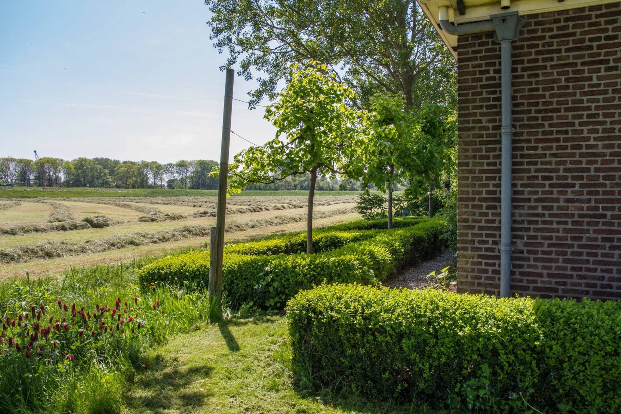 Appartement Nostalgisch - Garten Sommer