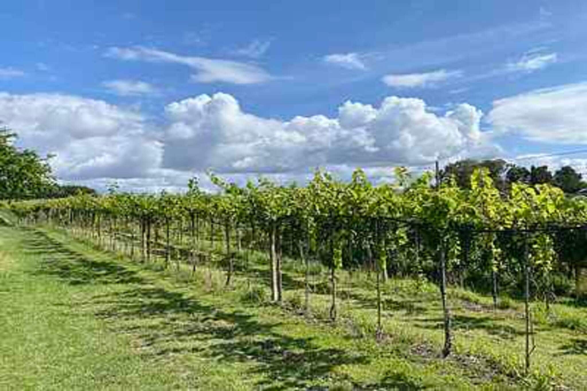 4 sterren vakantie huis in Karrebæksminde-Niet-getagd